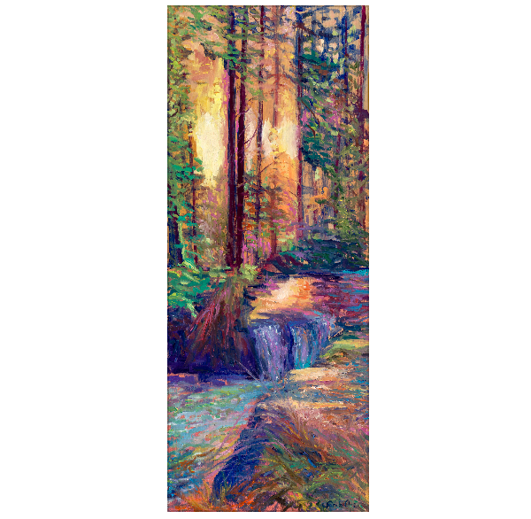 Fall Creek Canvas Print