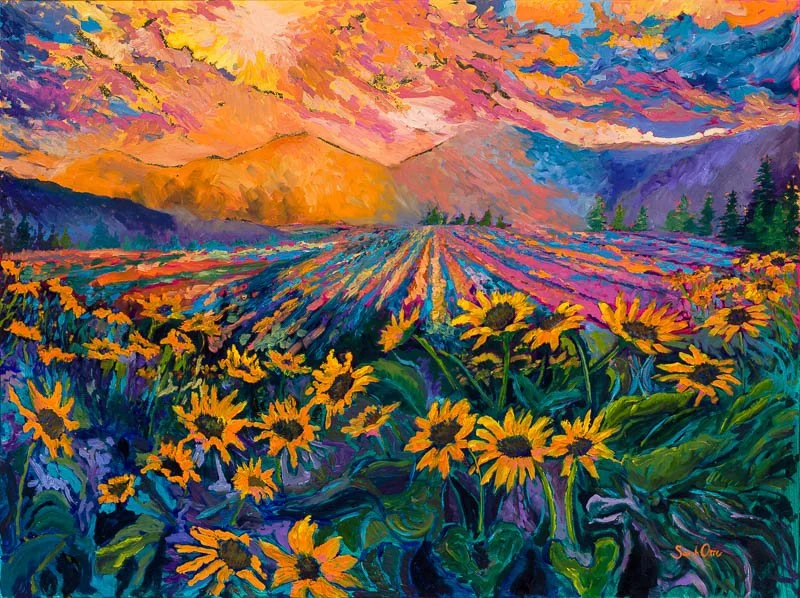 Sunflower Sunset