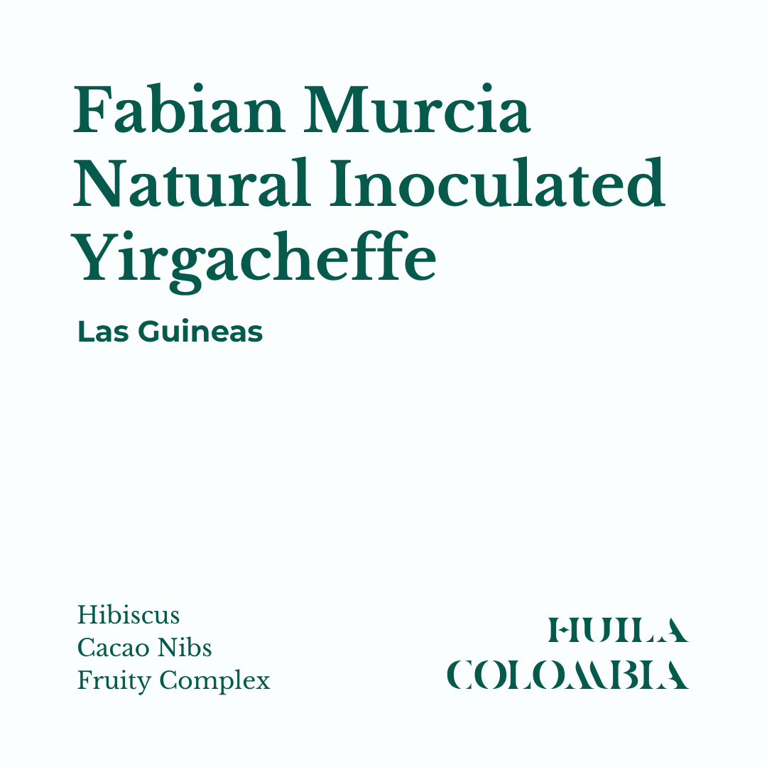 Fresh roasted Gesha–Yirgacheffe Natural Inoculated Coffee from Huila, Colombia by Fabian Murcia with notes of Hibiscus, Cacao Nibs, and Fruity Complexity.