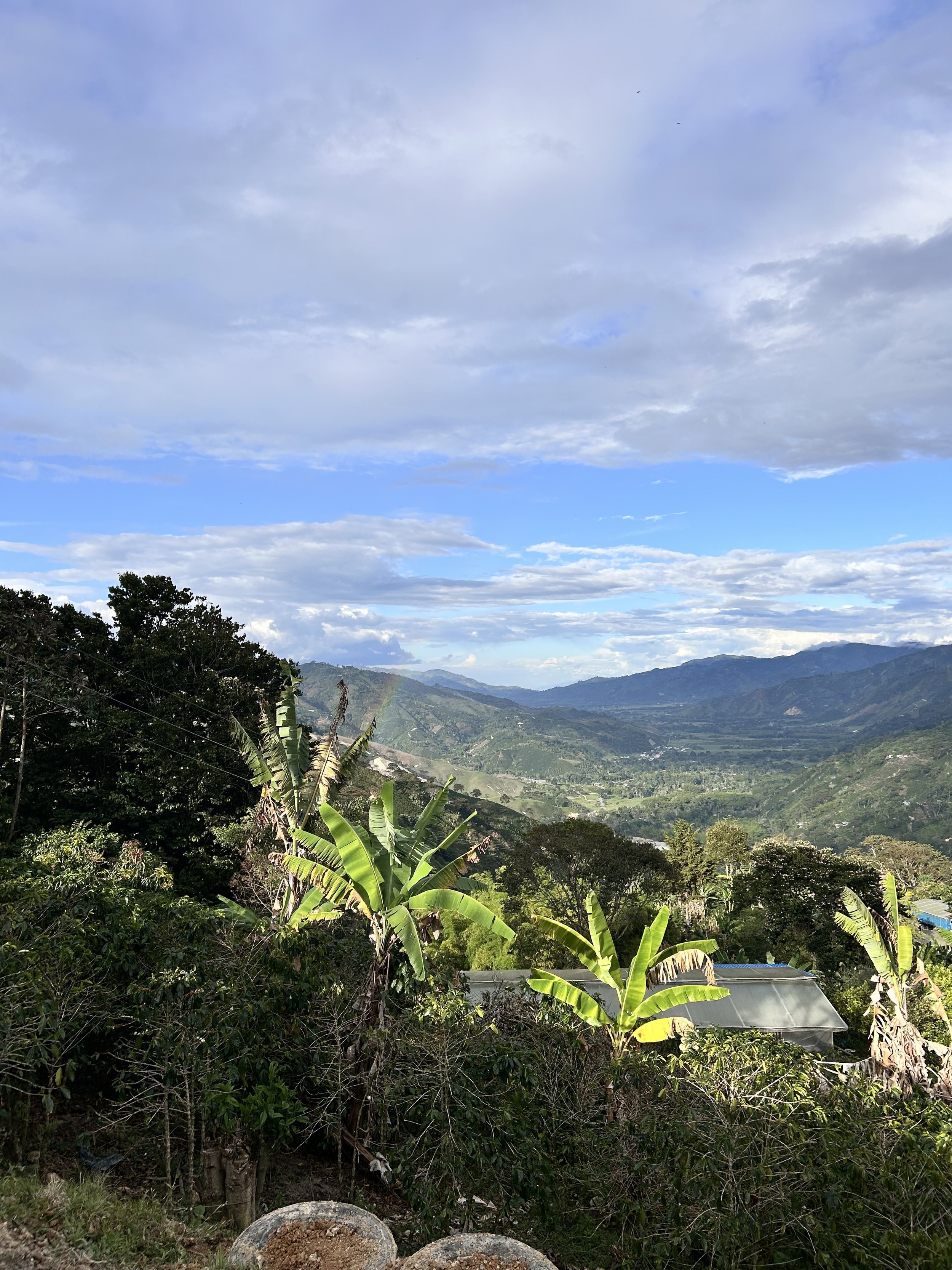 Landscape view of coffee origin in Pitalito, Huila, Colombia showcasing specialty coffee of Finca El Encanto and producer Franky Hoyos