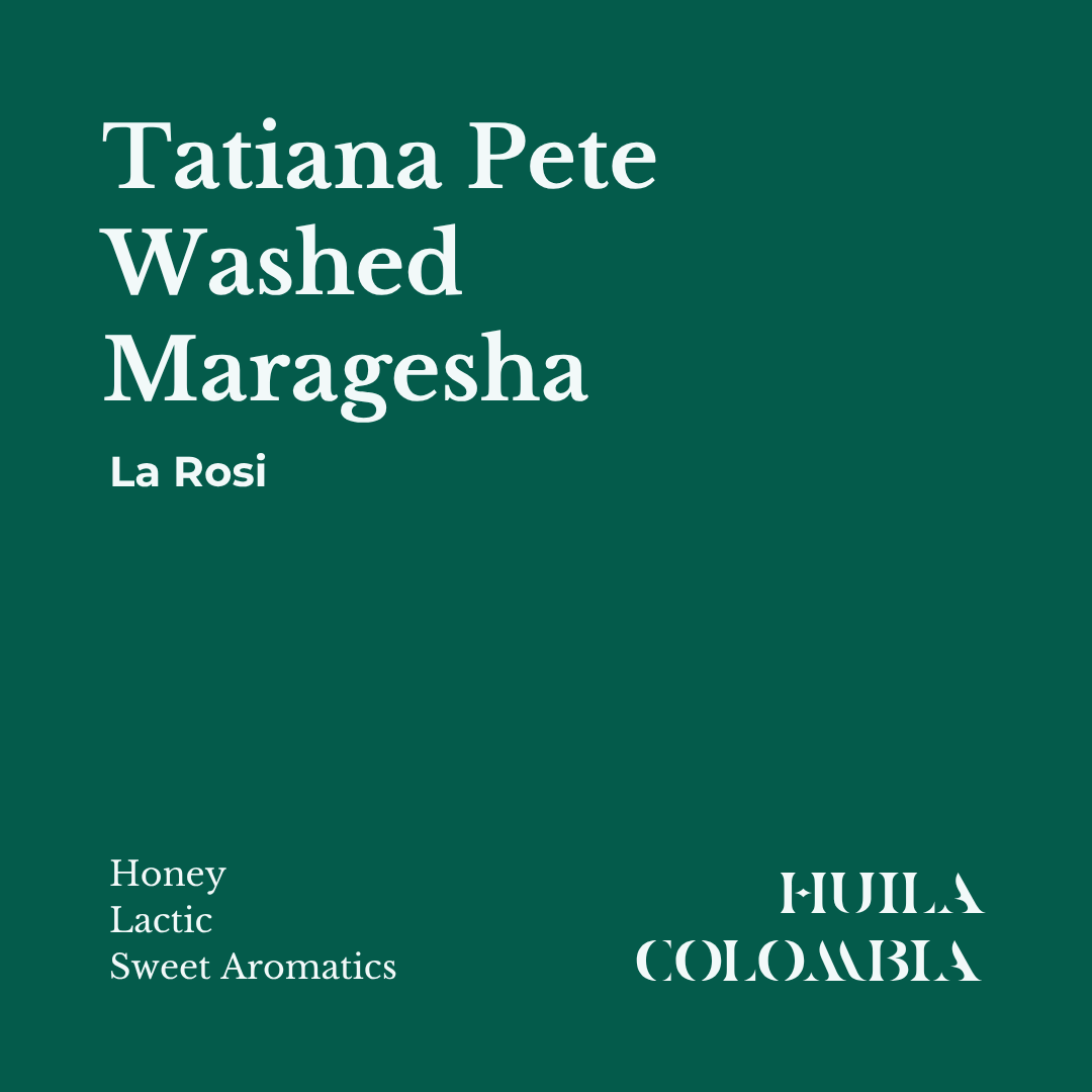 Fresh roasted Maragesha Washed Coffee from Huila, Colombia by Tatiana Pete with notes of Honey, Lactic, Sweet Aromatics.