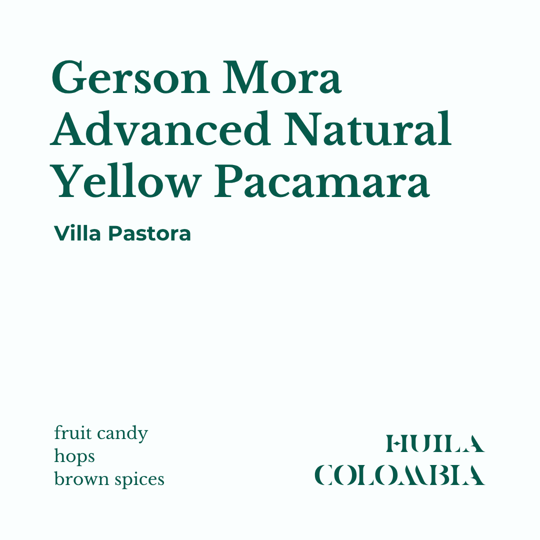 KWC Roasters white label specialty Colombia coffee info card featuring Gerson More Advanced Natural Yellow Pacamara from Villa Pastora. List notes of fruit candy, hops, brown spices