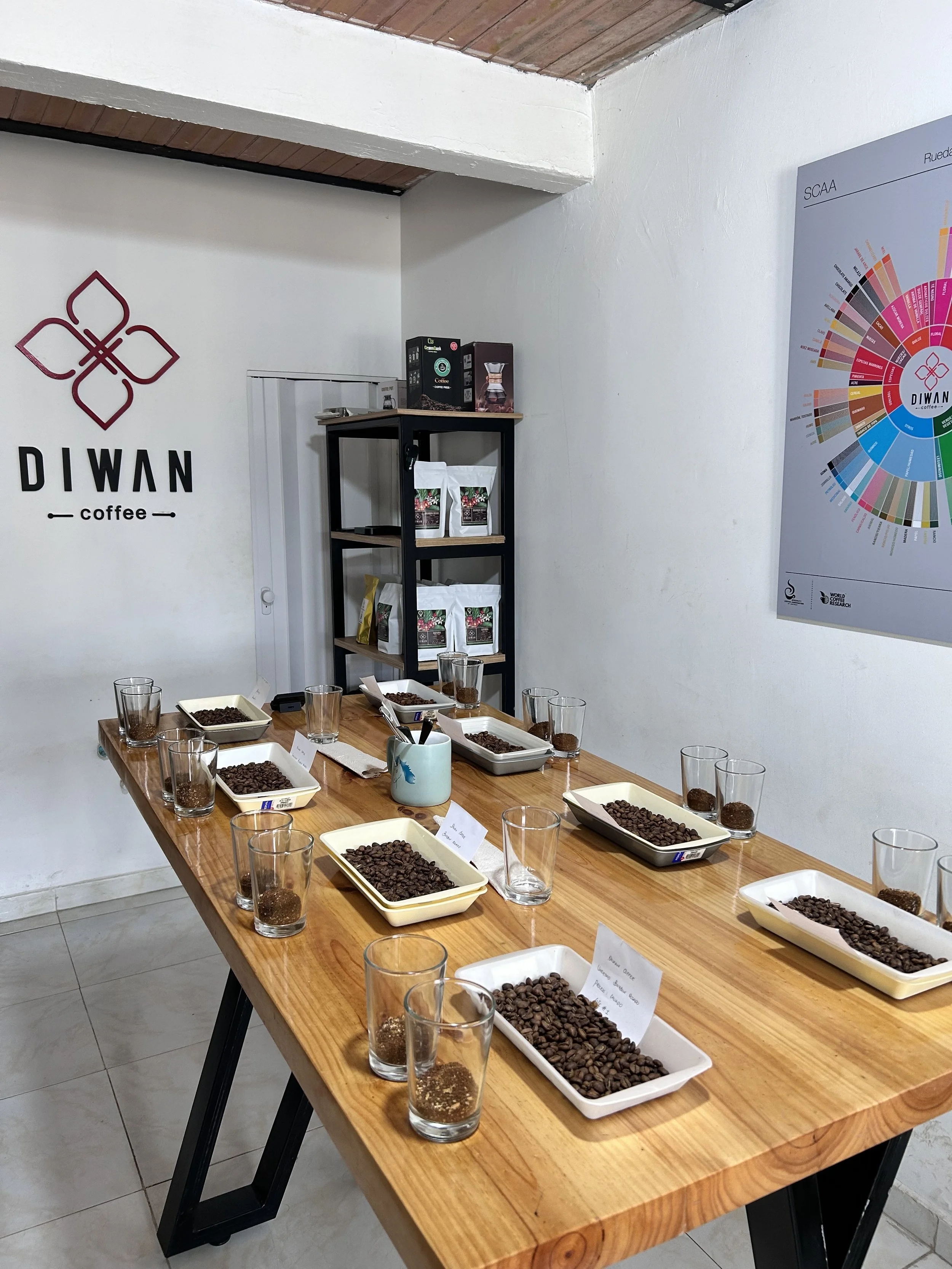 Diwan coffee quality control room showcasing a table of roasted specialty coffee