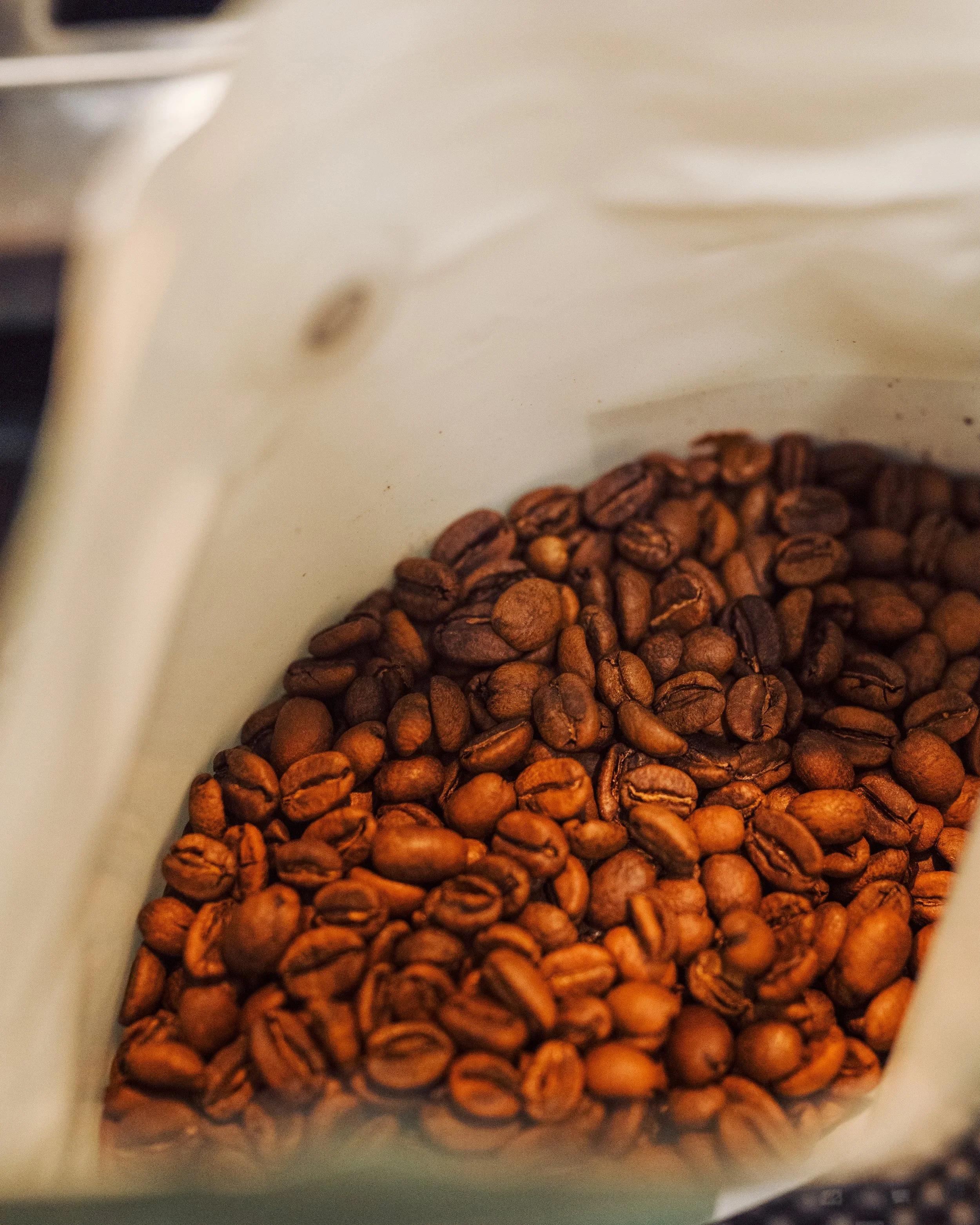 Close-up of KWC roasted whole bean specialty coffee beans