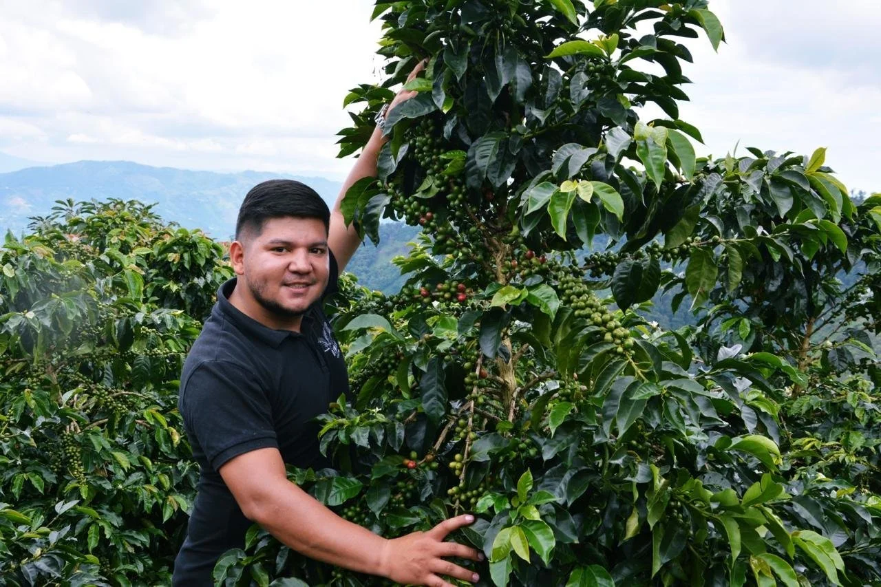 Specialty coffee producer and grower Diego Parra of Diwan Coffee on the farm at Finca El Mirador. In the background, the landscape of Pitalito, Huila, Colombia.