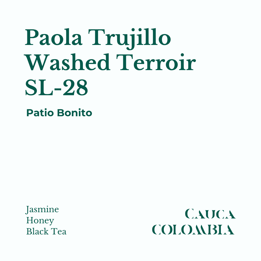 Fresh roasted SL-28 Washed Terroir Coffee from Cauca, Colombia by Paola and Carlos Trujillo with notes of Jasmine, Honey, and Black Tea.