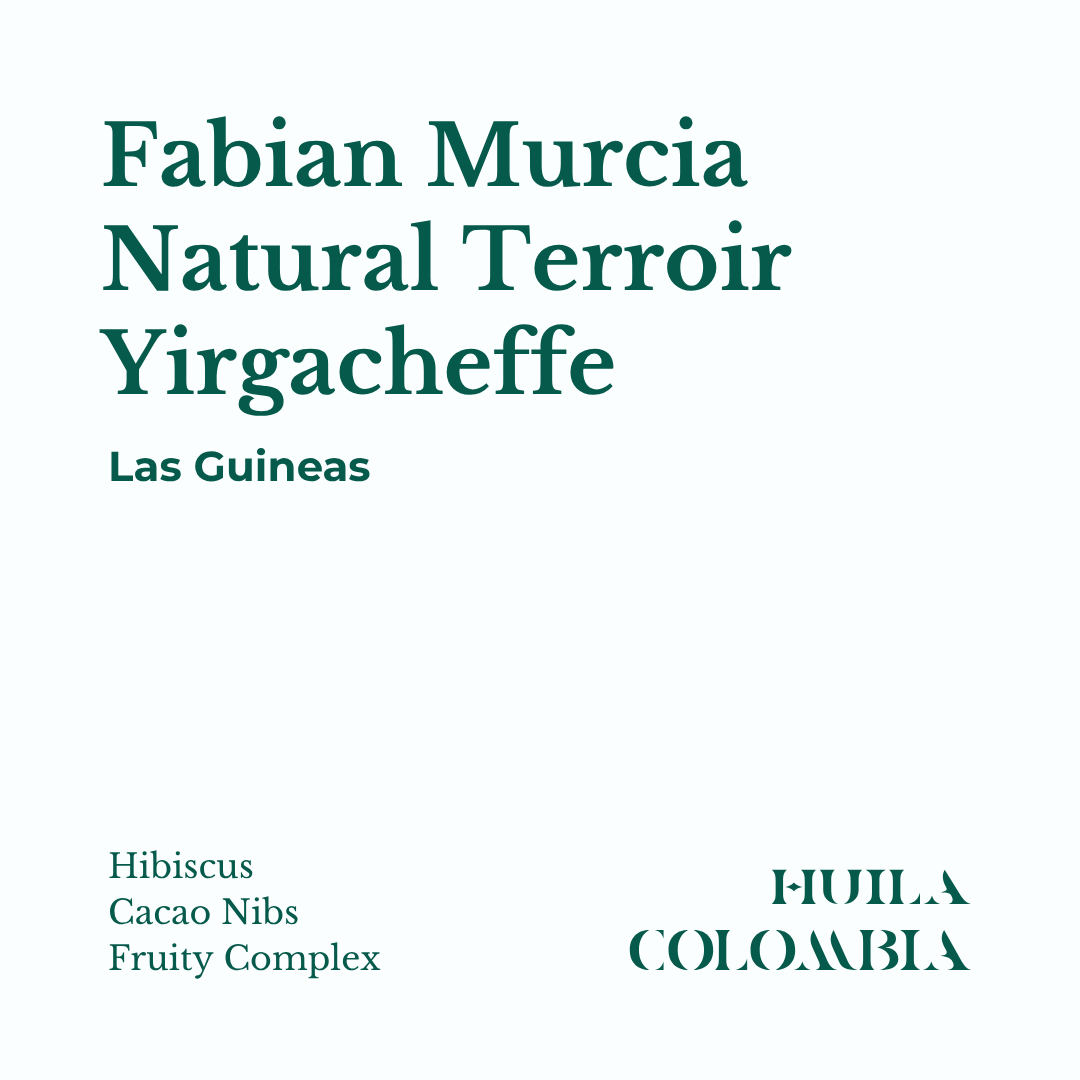 Yirgacheffe Natural Terroir, Fabian Murcia