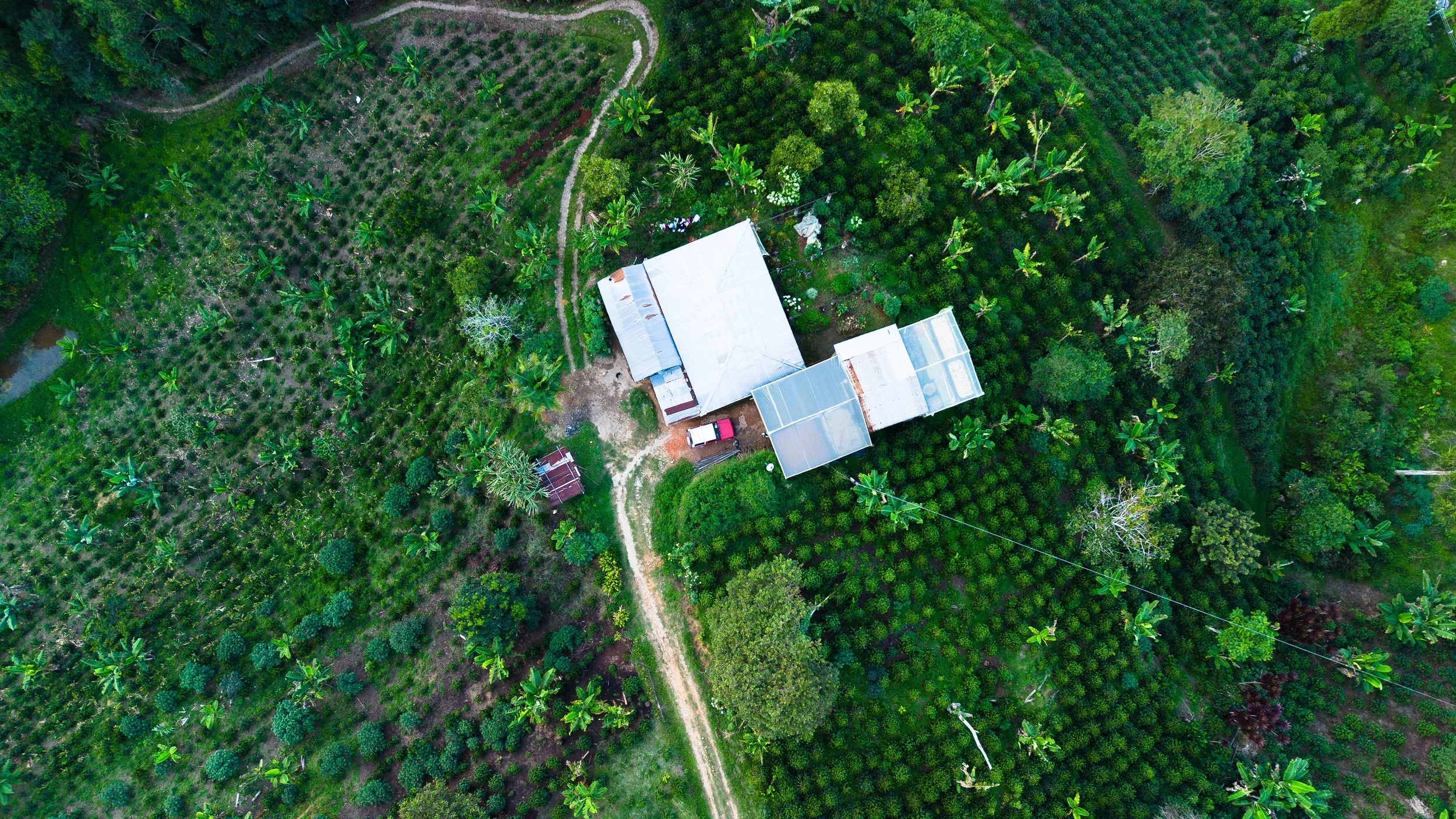 Know Where Coffee - Aerial view of Colombian specialty coffee farm surrounded by lush green trees and crops
