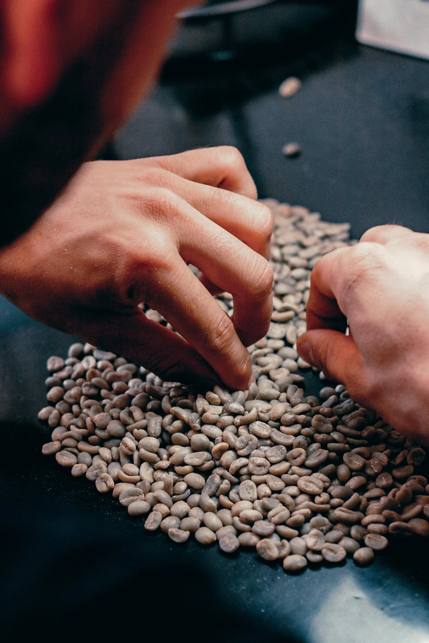 Chiroso - green coffee.jpg