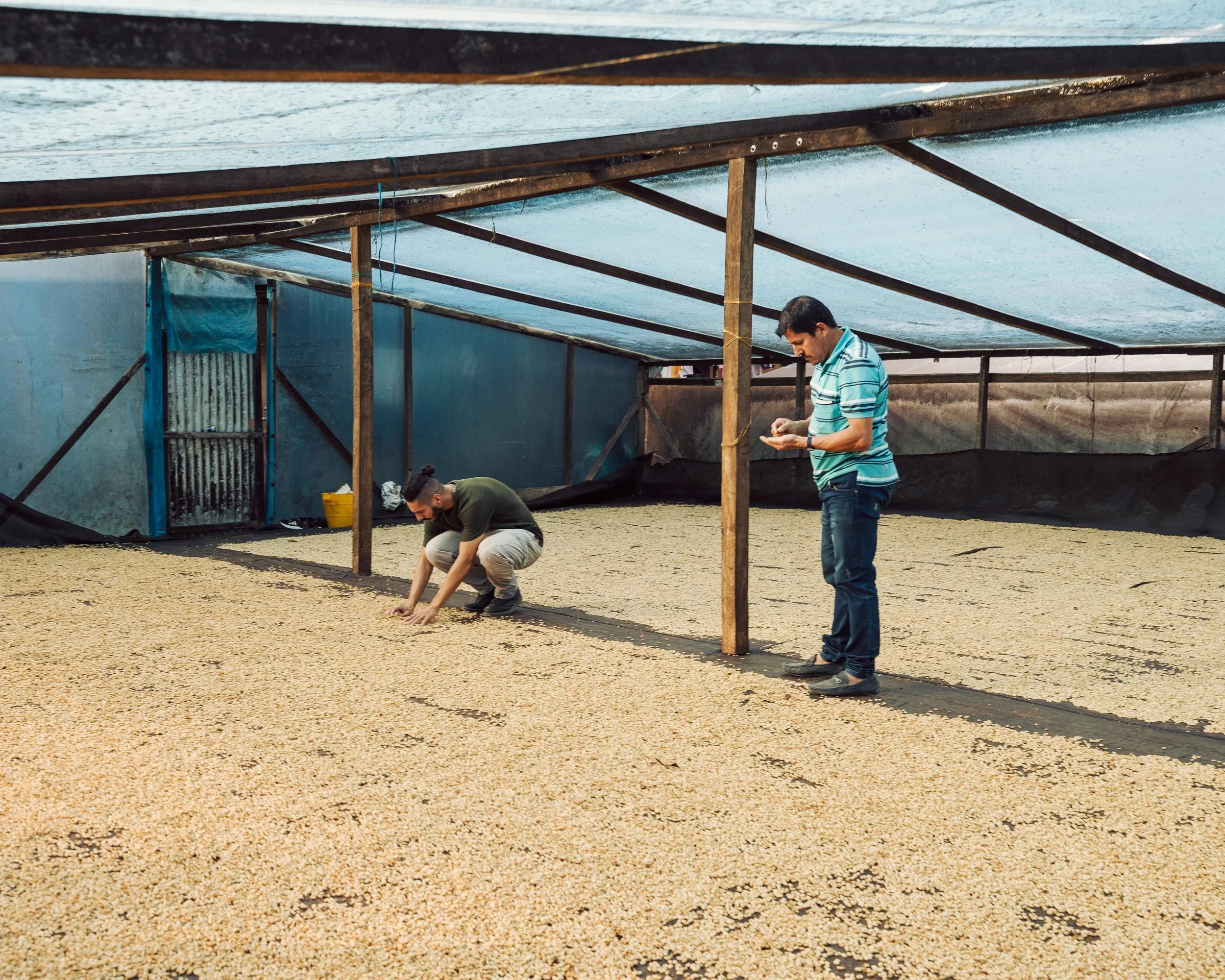 specialty green coffee processing at origin in Colombia from KWC green coffee Sourcing