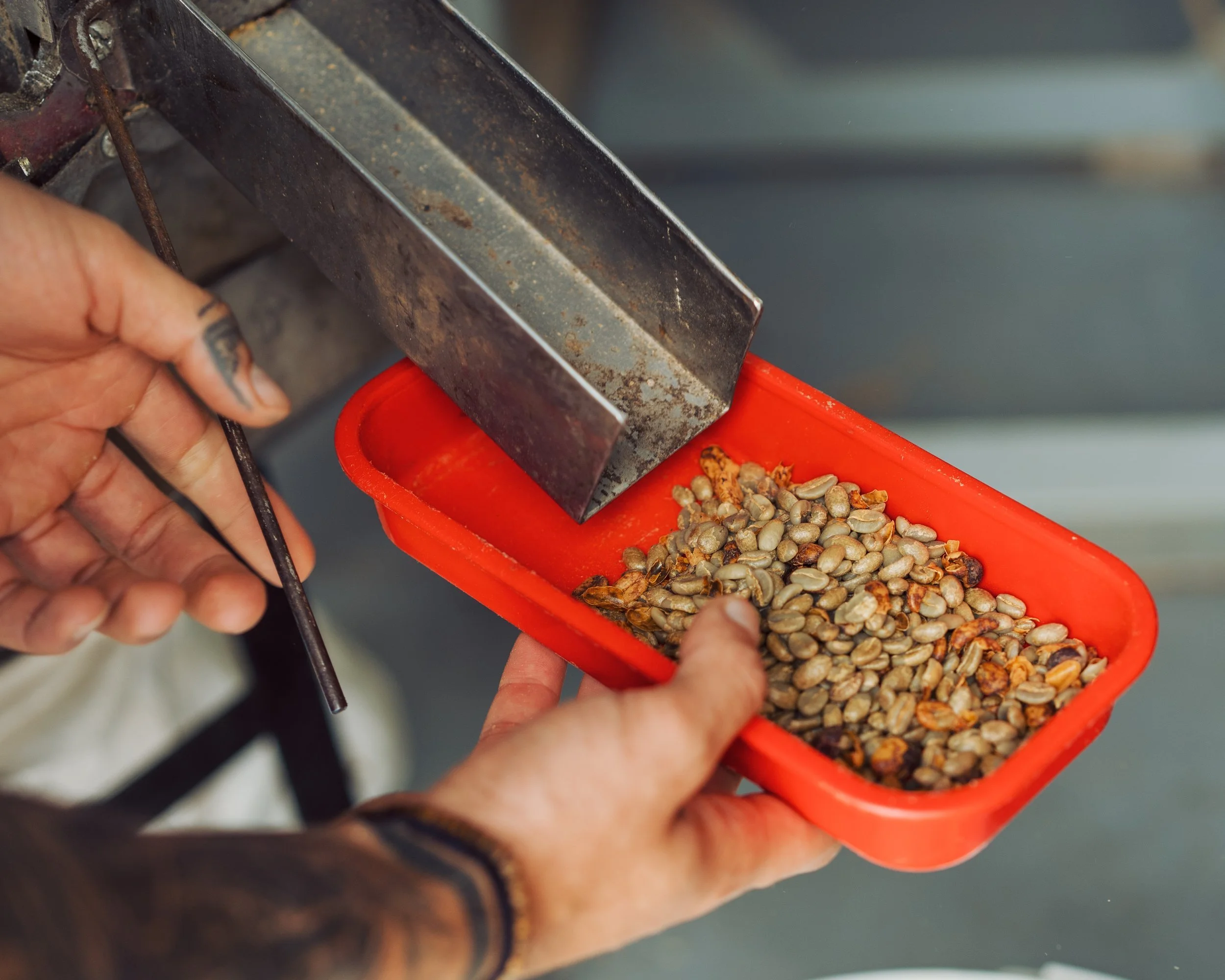 Specialty coffee processing in Colombia from KWC green coffee Sourcing