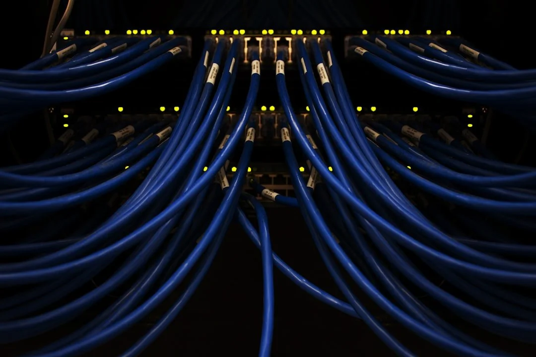 Blue network cables