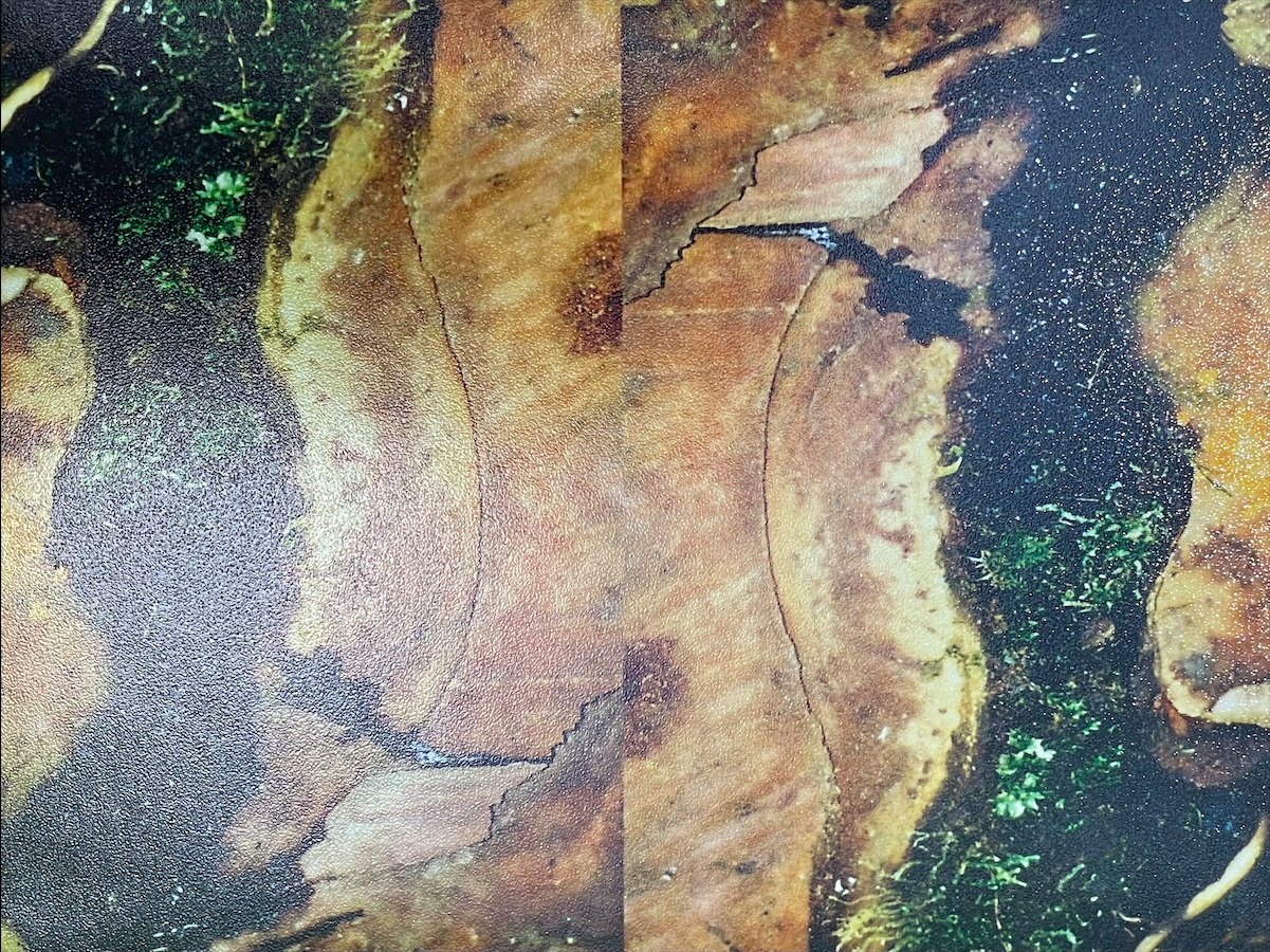 Close-up of a cracked, dried, and burnt piece of bread or pastry with some green herbs or vegetables on the edges.