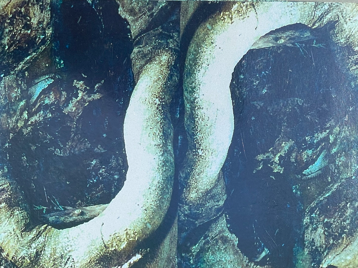 A close-up view of a climbing rope surrounded by rocks and rough terrain.