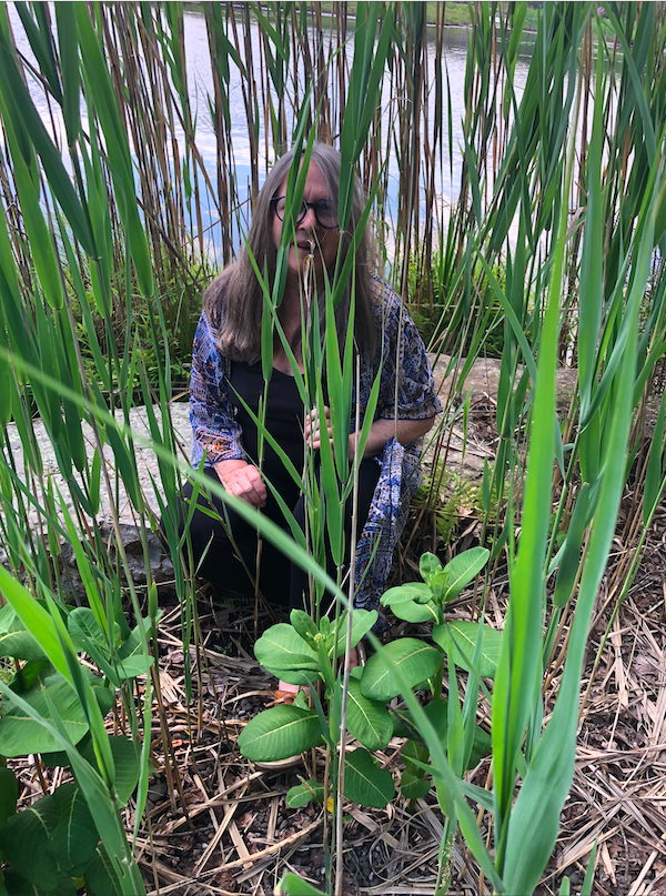 A woman with long gray hair, glasses, and a patterned kimono-style robe crouching among tall green reeds and cattails near a body of water.