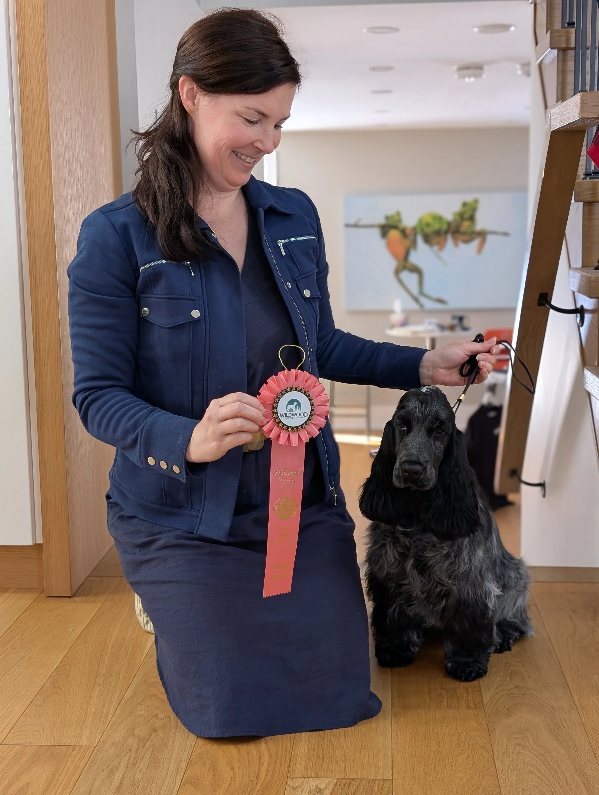 A splendidly handsome woman kneeling on wooden floor, smiling, holding a pink and blue rosette ribbon with a blue roan English Cocker Spaniel dog sitting beside her in an indoor setting.