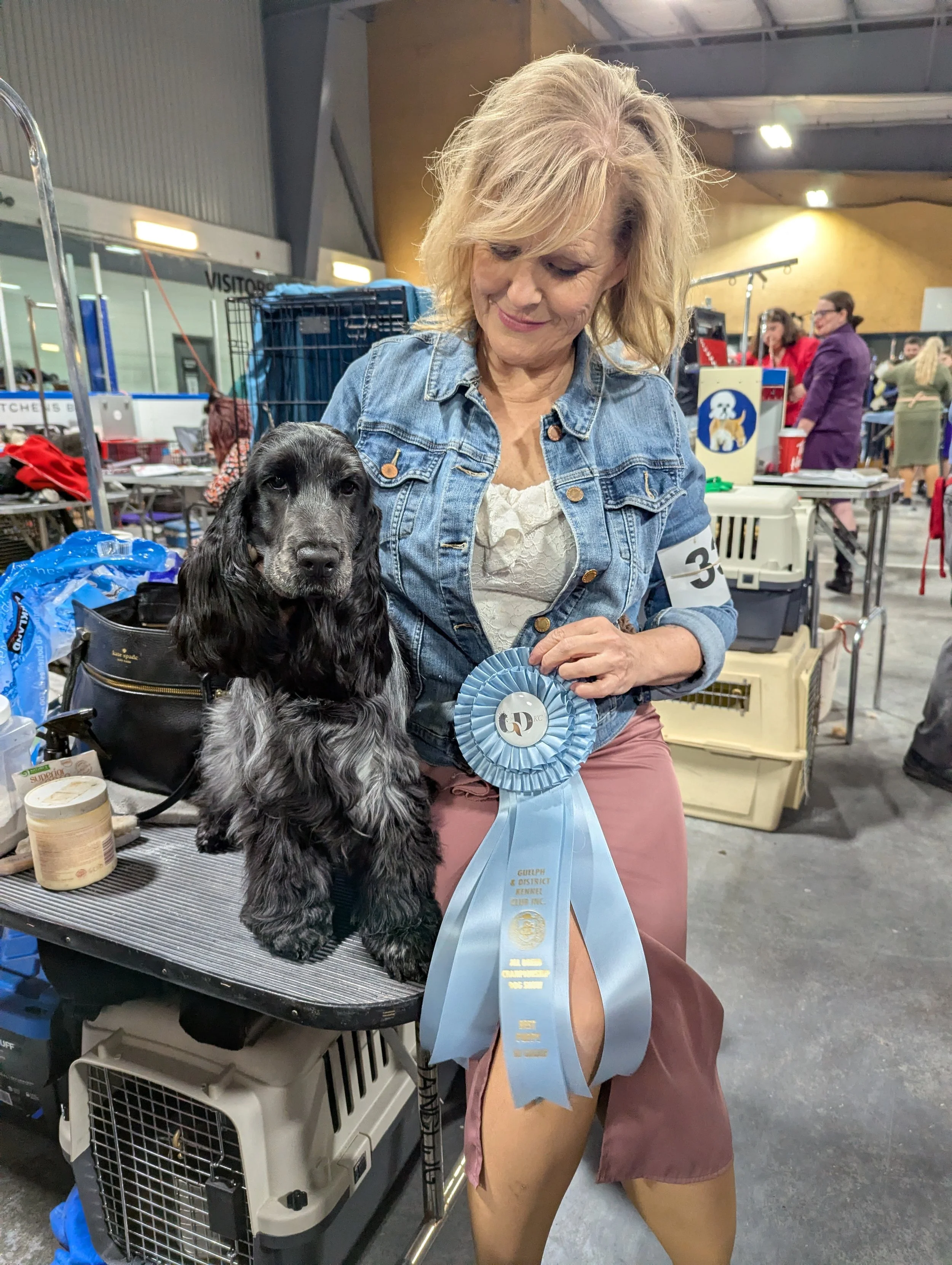 Woman at a dog show holding a blue ribbon with a blue roan cocker spaniel dog, with other people in the background at an indoor event.