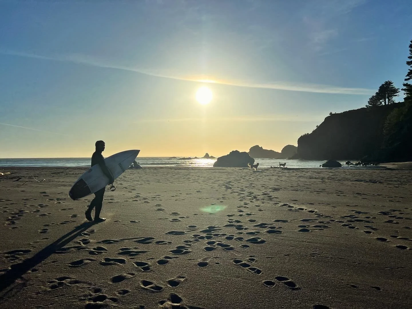 A person carrying a surfboard on a sandy beach during sunset, with footprints in the sand, dogs playing near the shoreline, and cliffs with trees in the background.