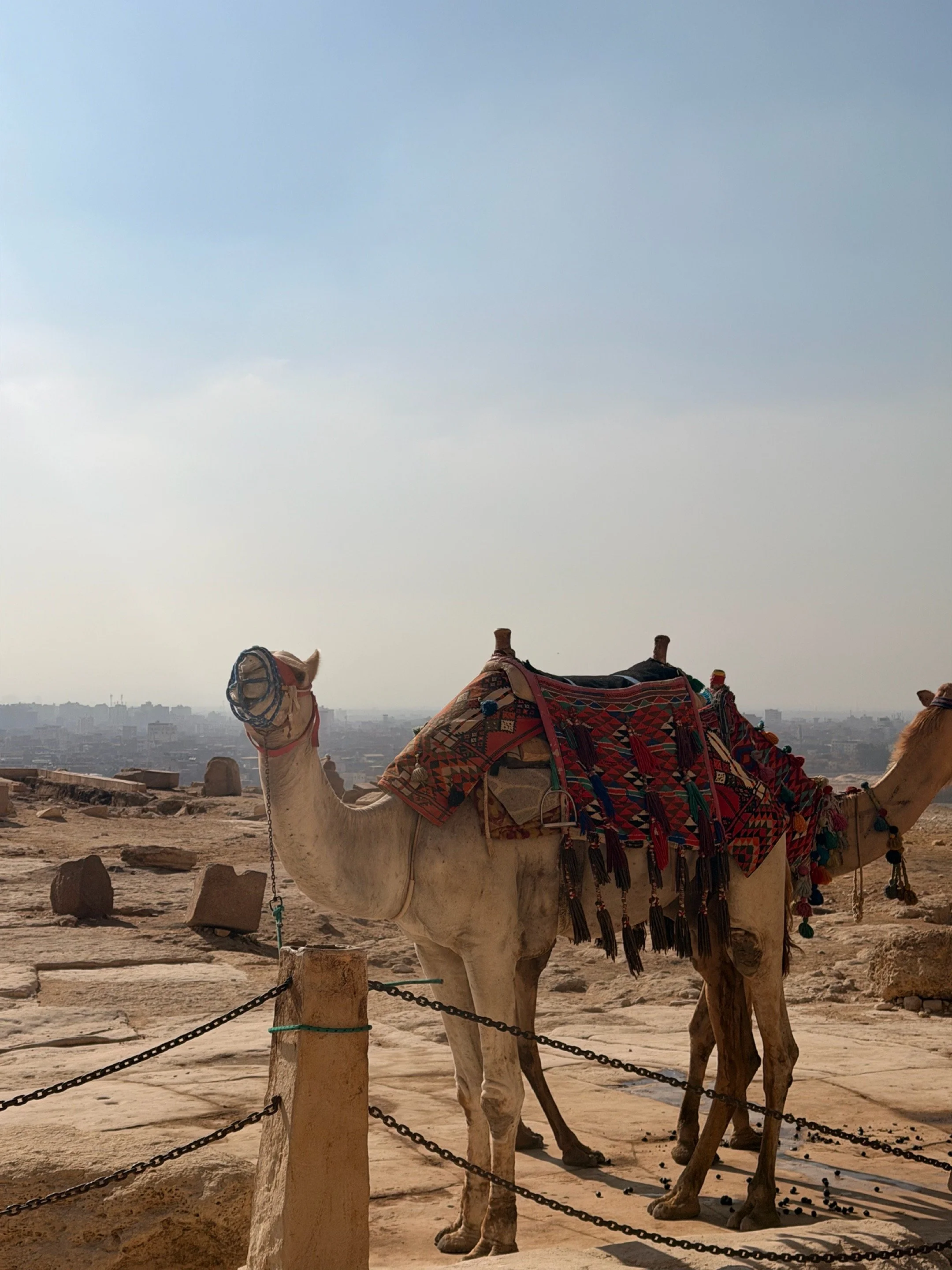 Egypt.