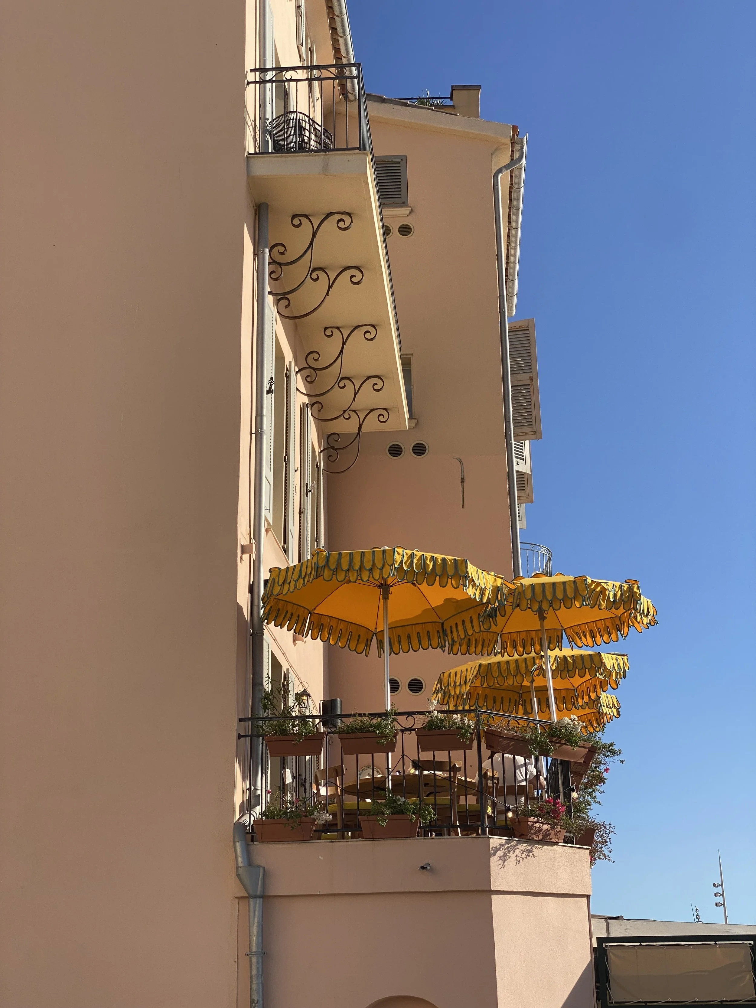IMG_4950.jpeg