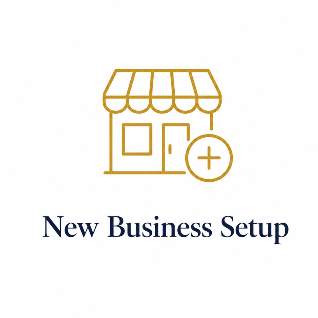 New Business Books Setup