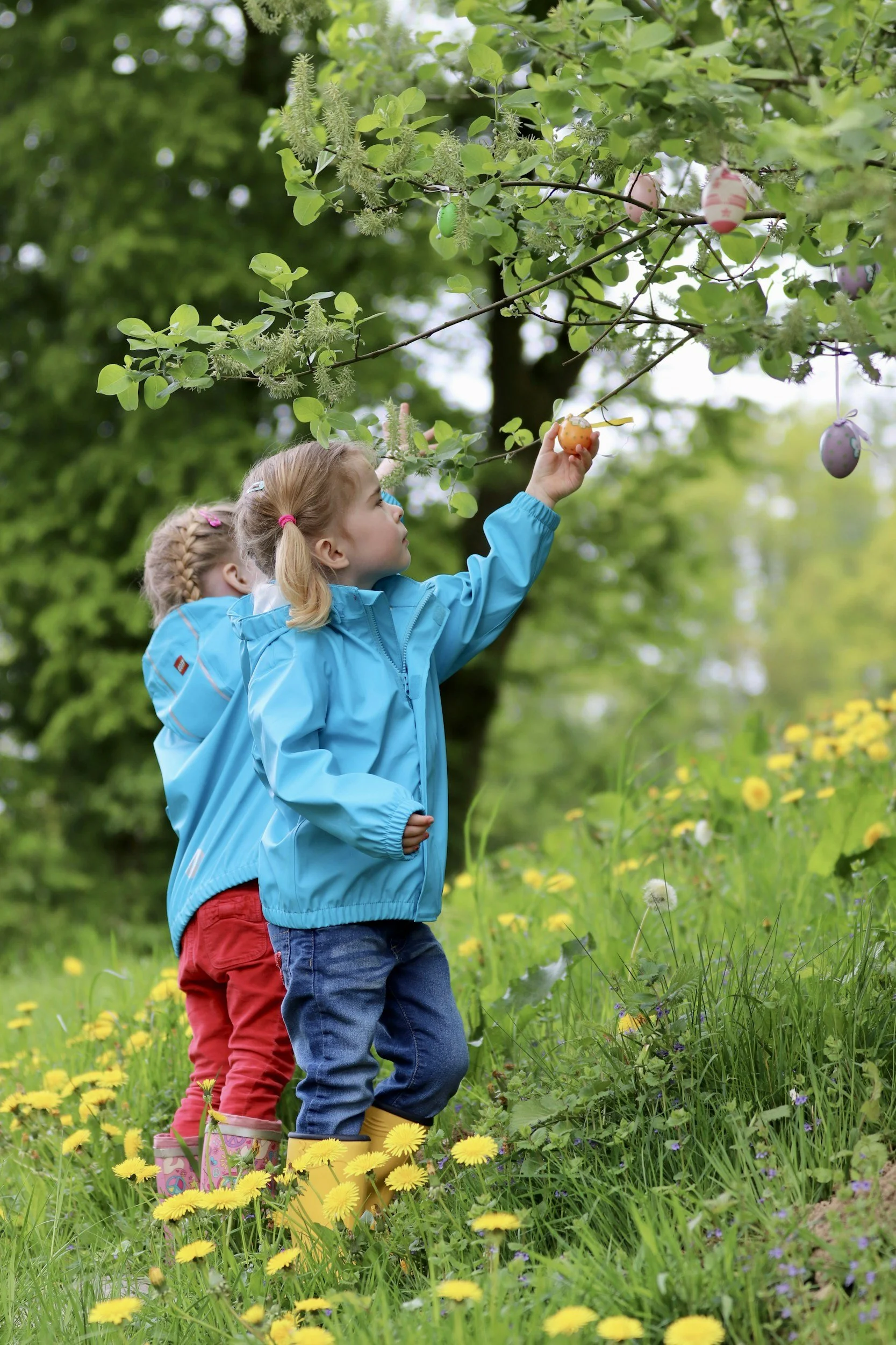 Three children with braided hair and colorful rain boots picking colorful Easter eggs from a tree in a grassy field with yellow flowers and purple wildflowers, surrounded by green trees.