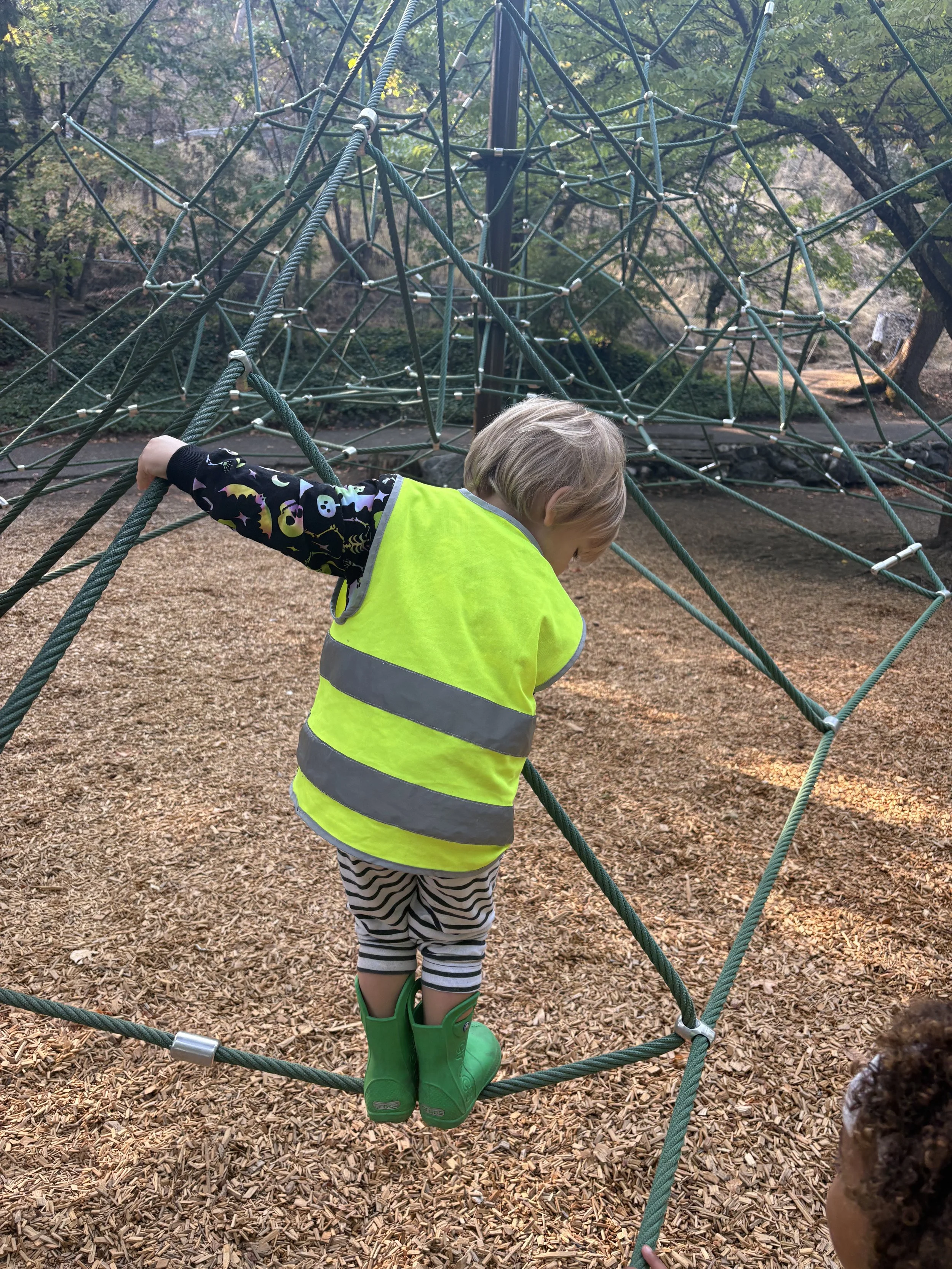 Morning Preschool (monthly, 12 months)