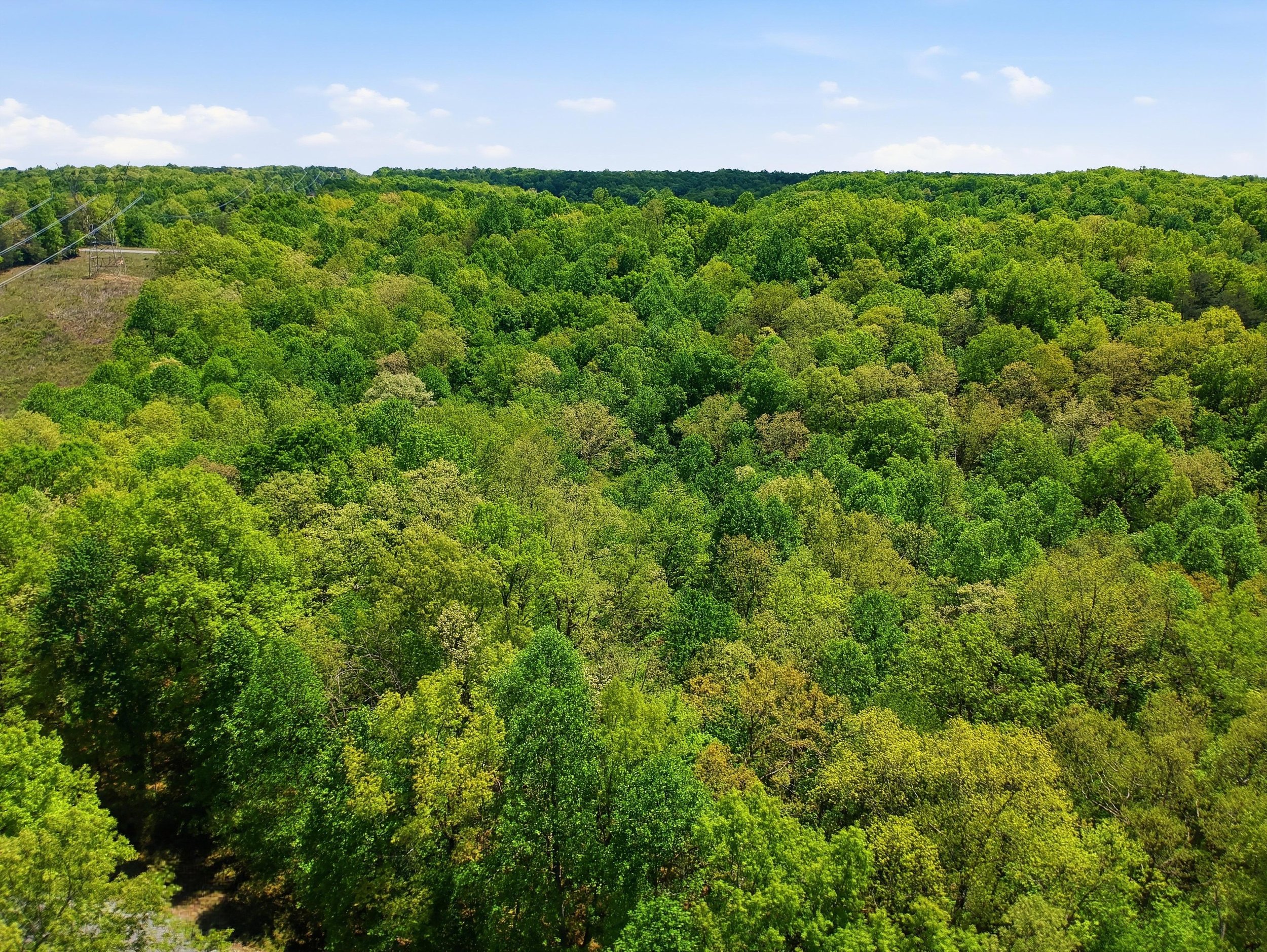 Aerial view of a lush green forest with a few clearings and power lines on the left side under a blue sky with some scattered clouds.