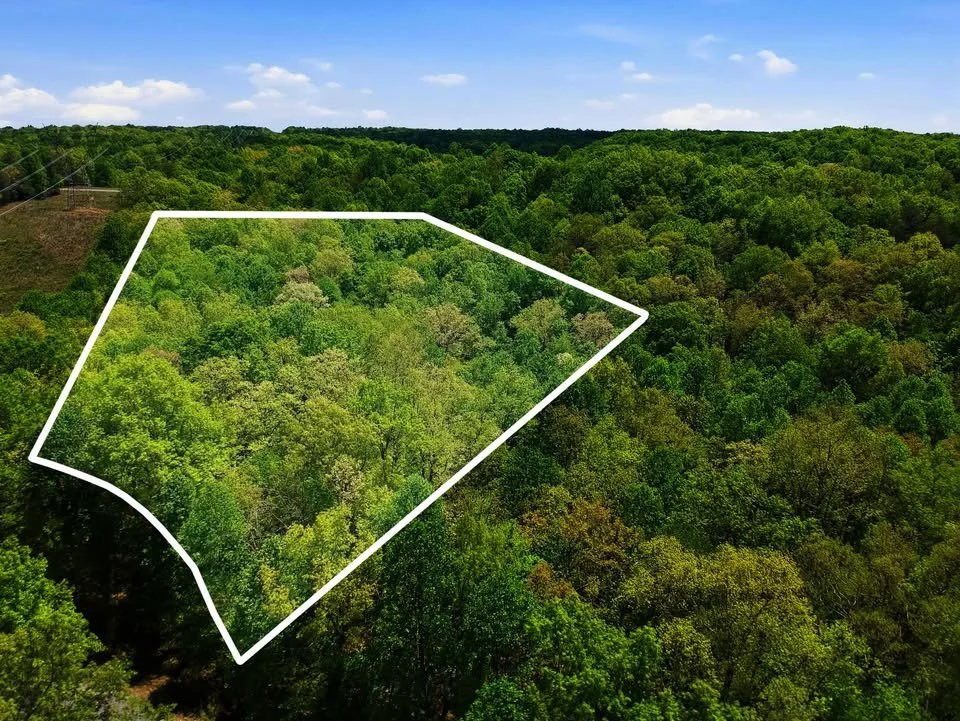 Aerial view of a green forested area with a white outline marking a specific section of the land under a blue sky with some clouds.