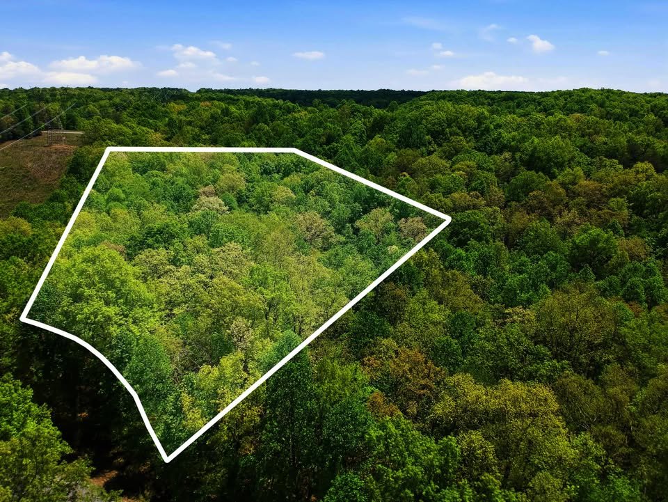 Aerial view of a lush green forested area with a white boundary outlining a specific plot of land.