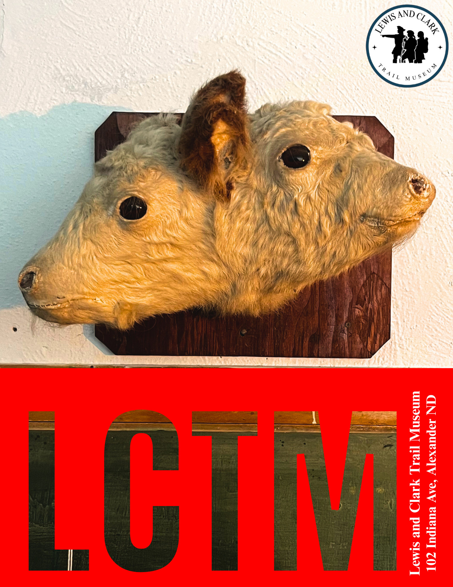 A mounted animal head resembling a bear or similar creature, displayed at the Lewis and Clark Trail Museum, with a sign for the museum partially showing at the bottom.