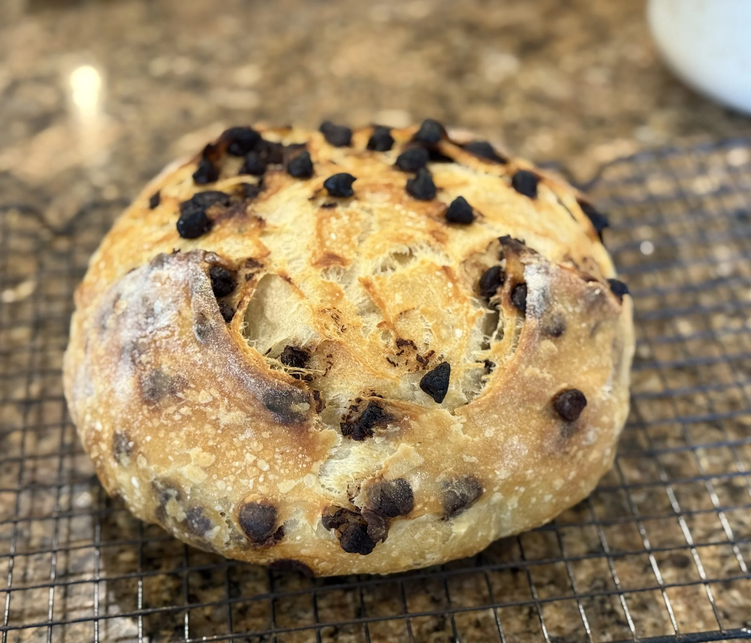 A close-up of a bread roll with chocolate chips on top, placed on a wire cooling rack.