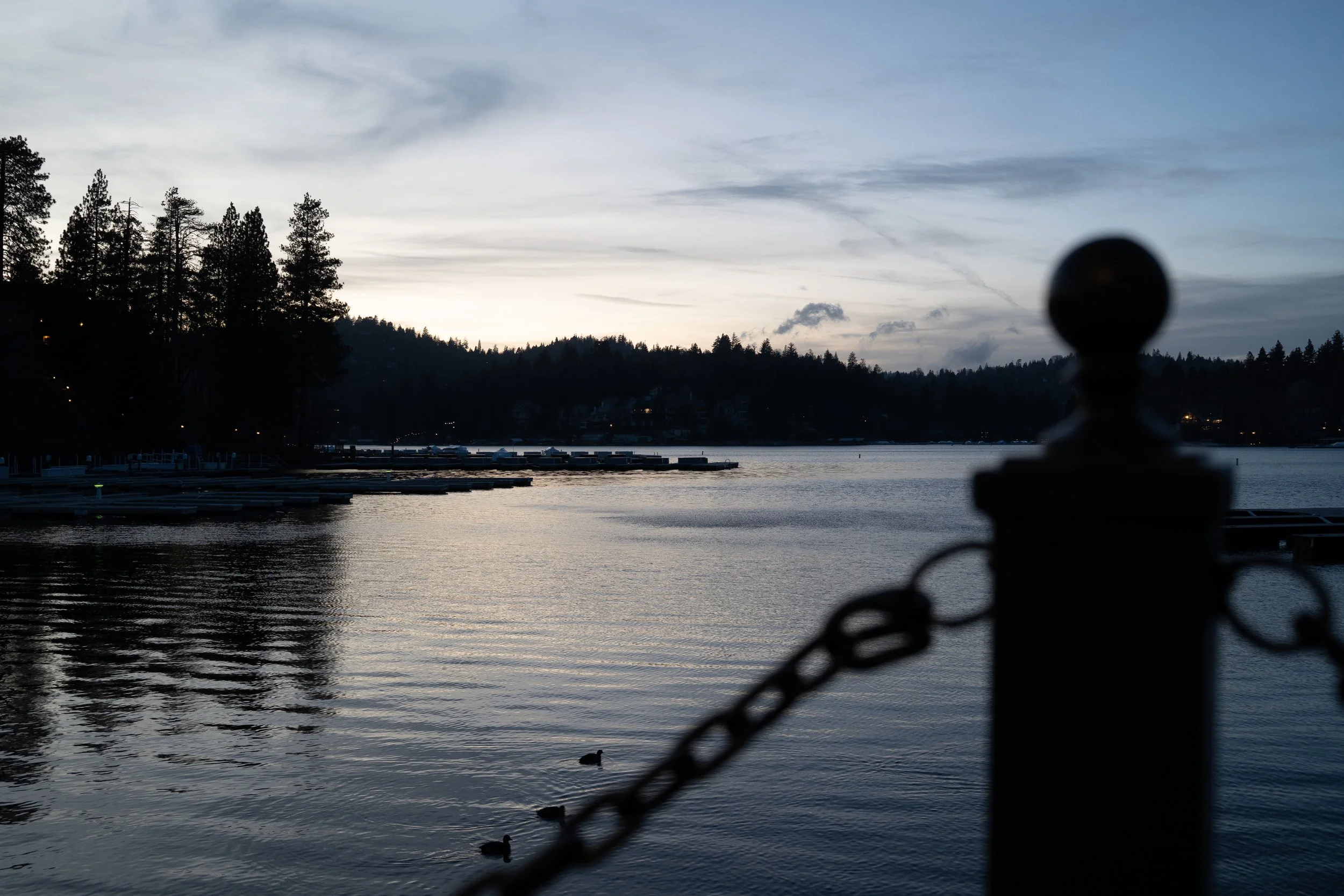 A lakeside scene at dusk with calm water, silhouetted trees on the opposite shore, and ducks swimming in the water. A blurred chain-link fence and a black rounded object are in the foreground.