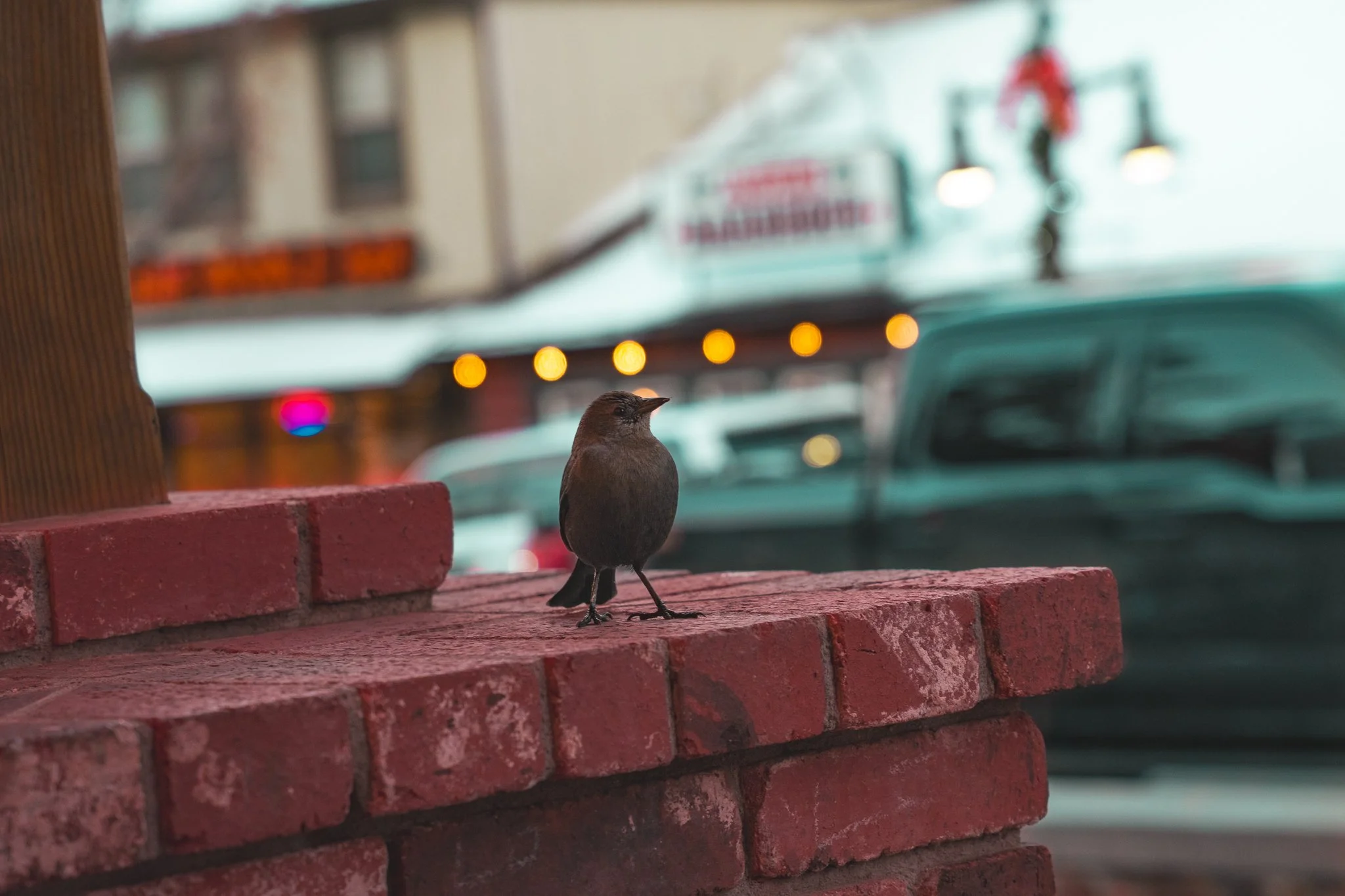 Portfolio-8-3.jpg