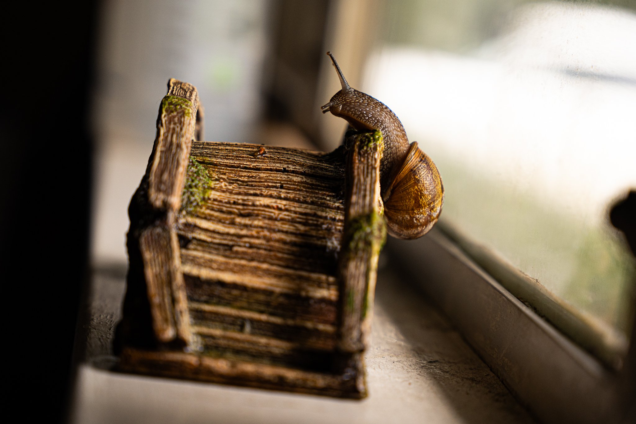 Portfolio-7-5.jpg