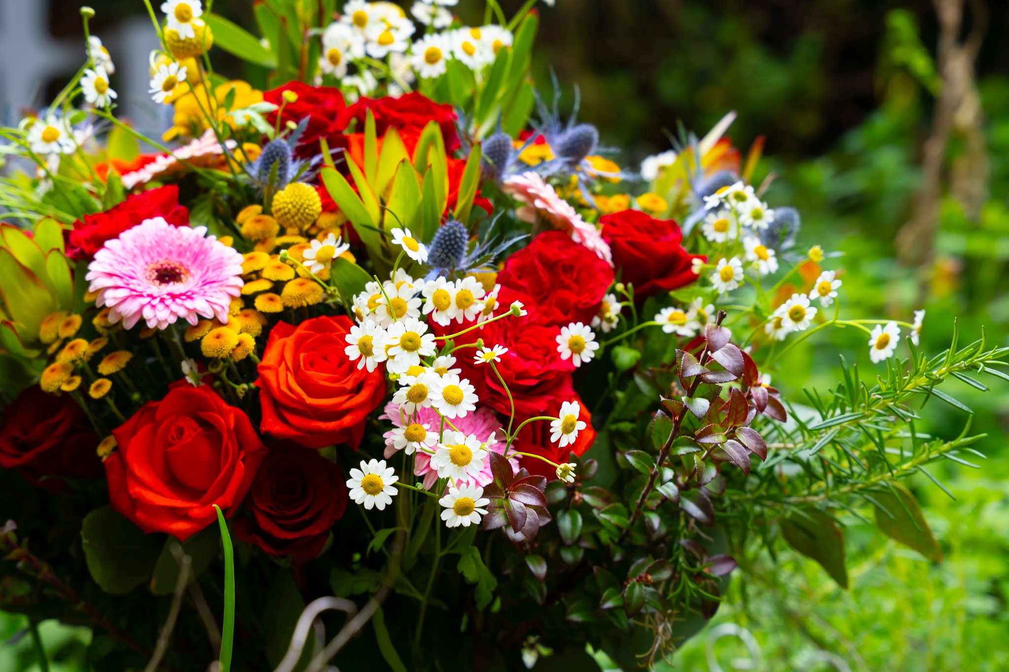 A vibrant bouquet of assorted flowers including red roses, pink geraniums, white daisies with yellow centers, and blue thistles, surrounded by green foliage.