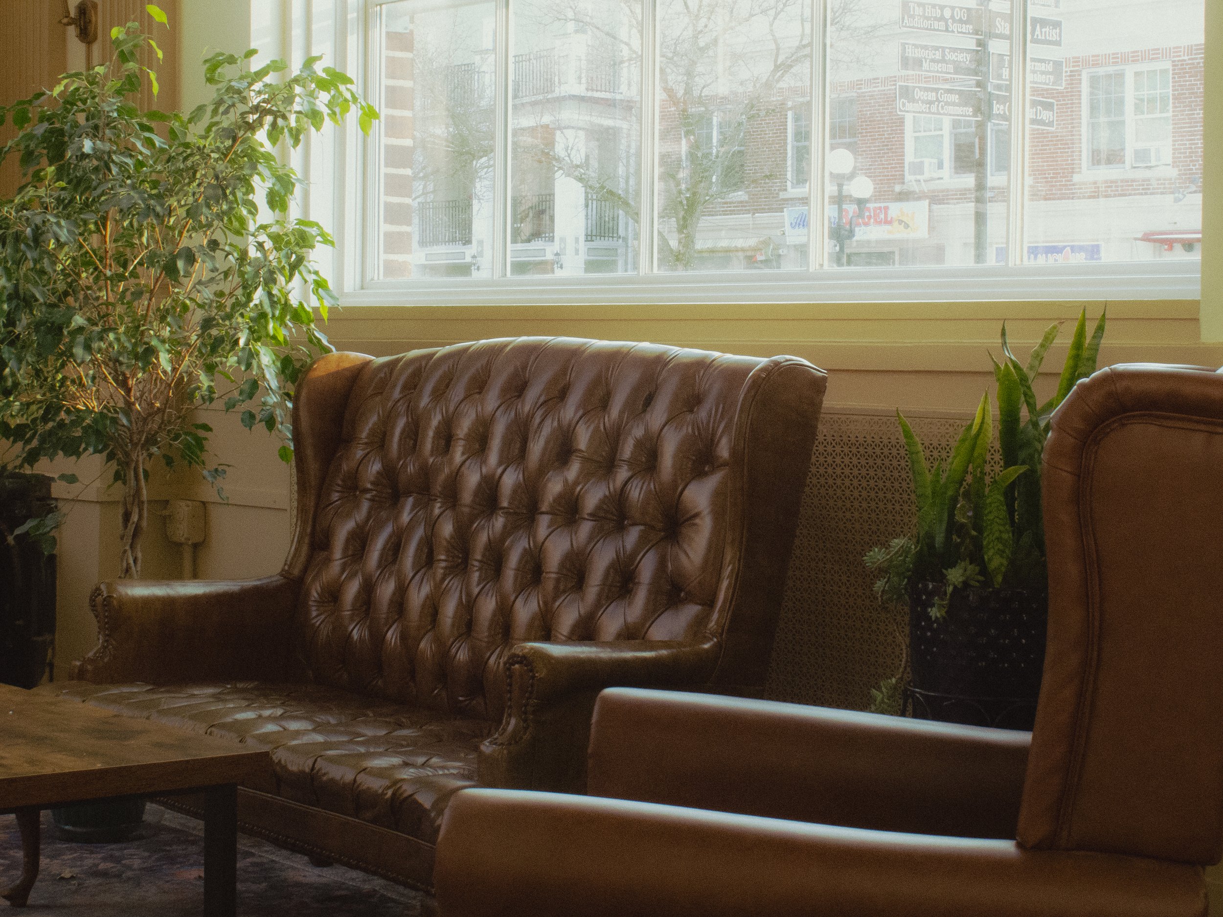 Interior of a room with a large window showing a street scene outside. Inside, there are green plants and leather chairs.
