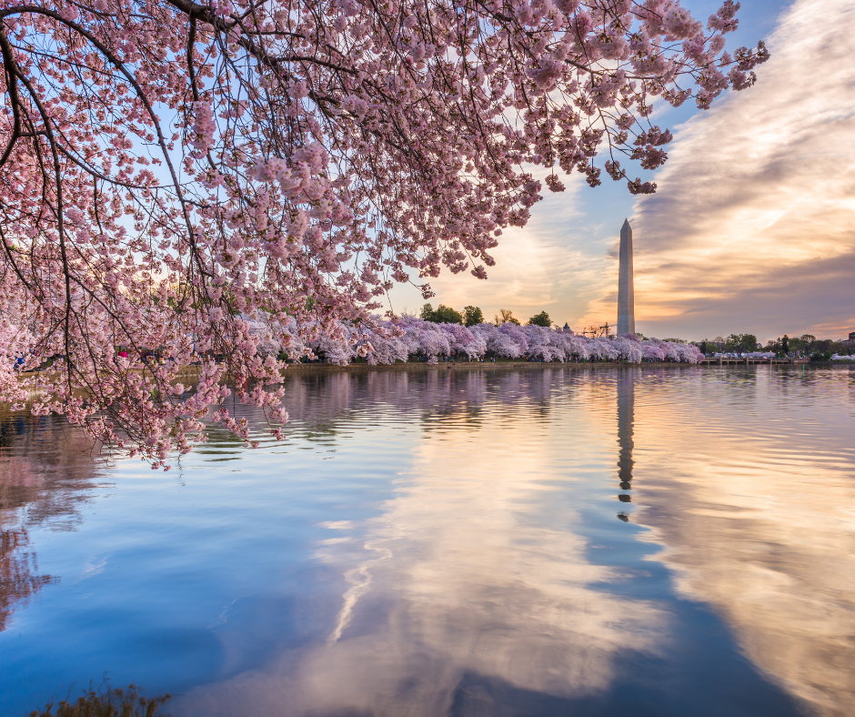 Best Spas in Washington, DC   (2026 Guide)