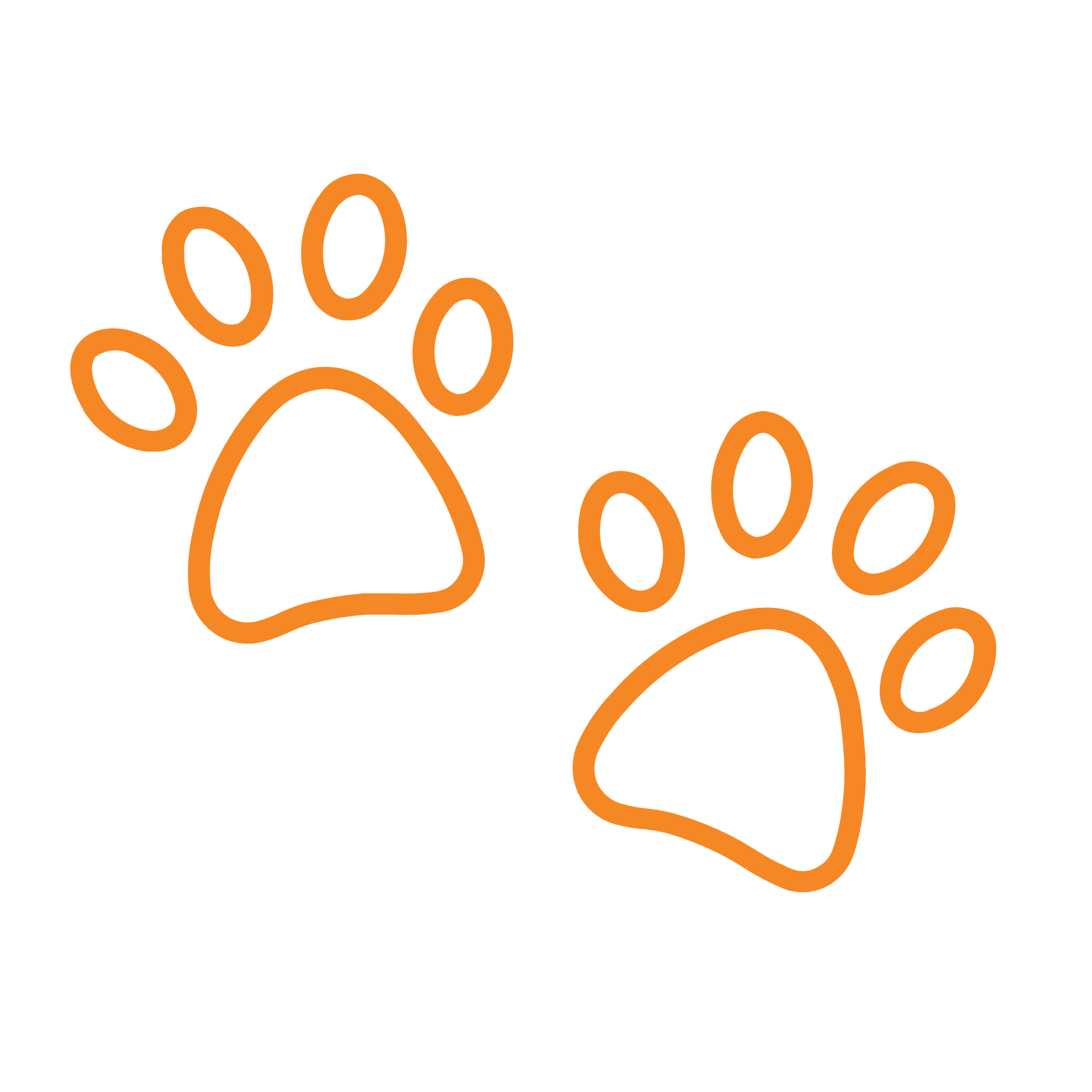Orange paw print graphic on a black background.