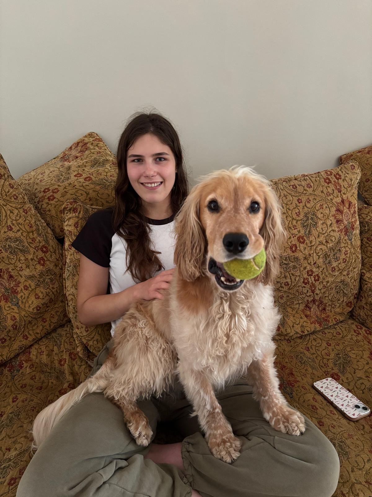 A young woman sitting on a couch with patterned cushions, holding a golden retriever dog with a tennis ball in its mouth, indoors.