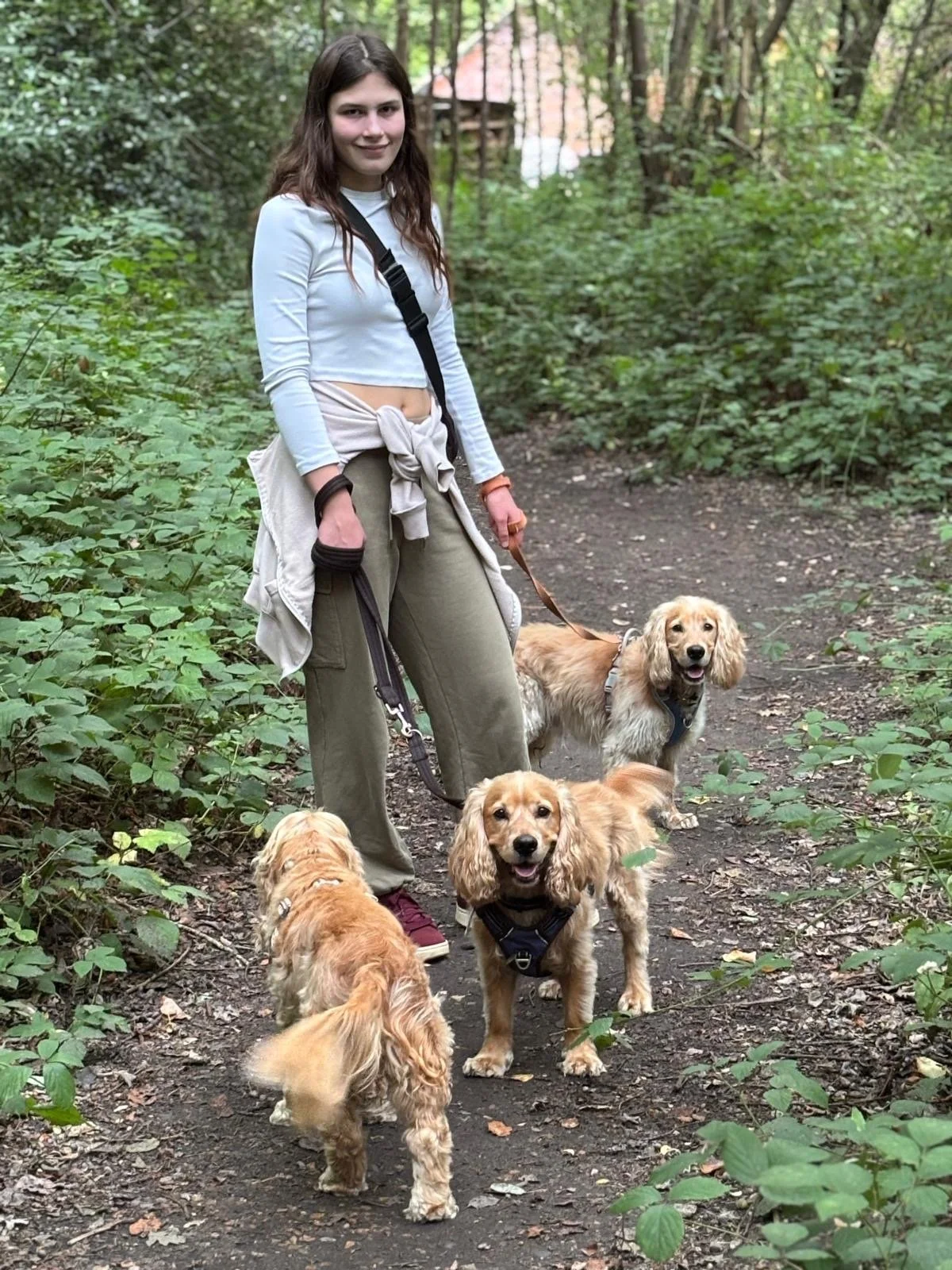 A young woman holding leashes for four small dogs on a forest trail.