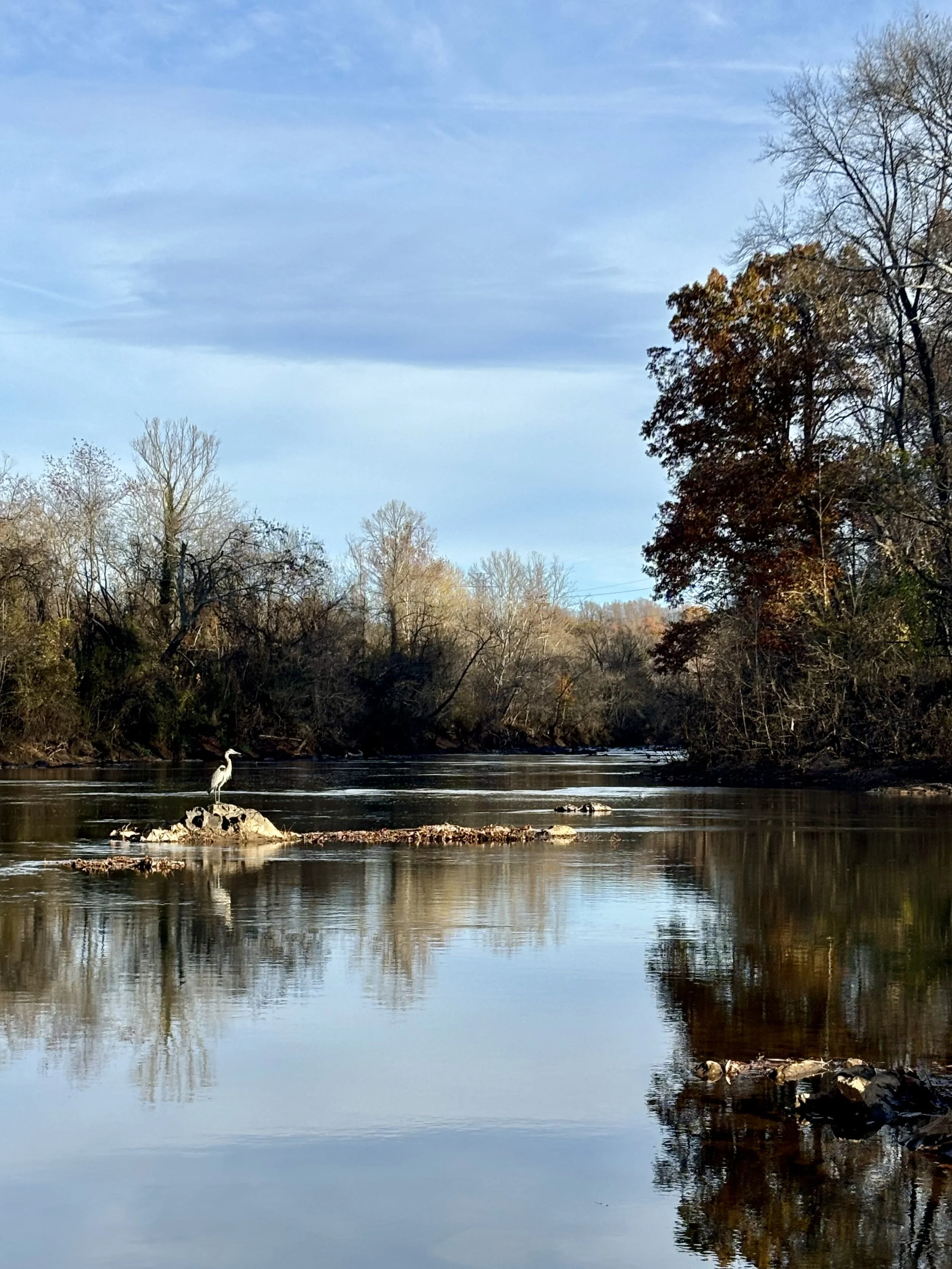 A peaceful river scene with a heron standing on rocks in the water, surrounded by trees with some autumn foliage, under a partly cloudy sky.