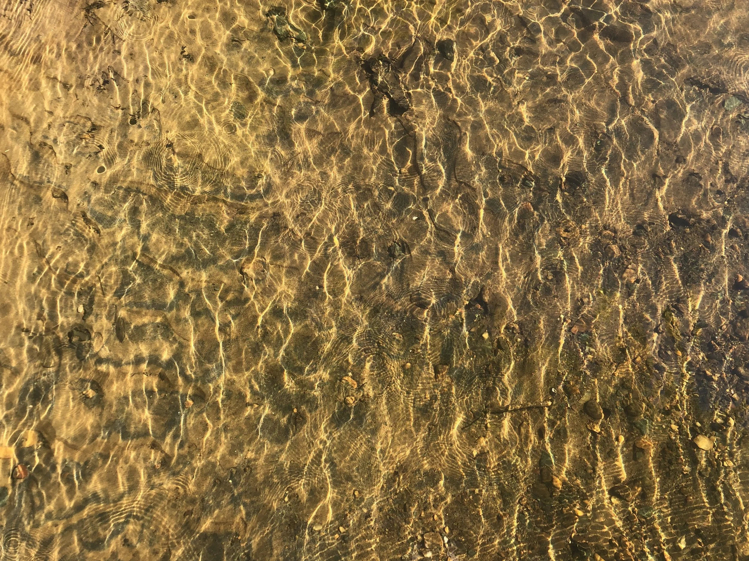 Clear shallow water over sandy and pebbly bottom with sunlight creating rippling reflections.