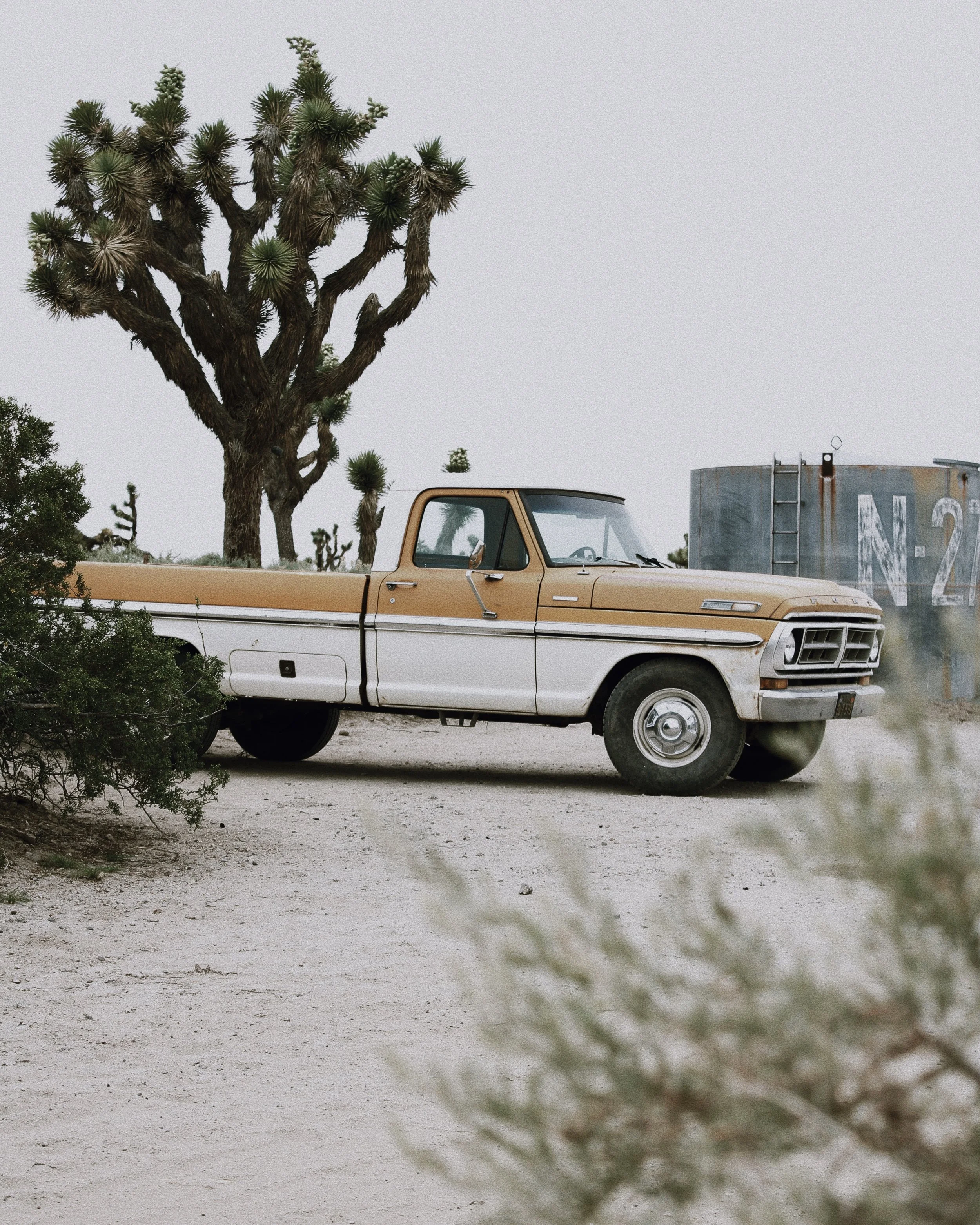 A vintage beige and white truck parked on a dirt surface near a large Joshua tree and a rusty water tank in a desert landscape.