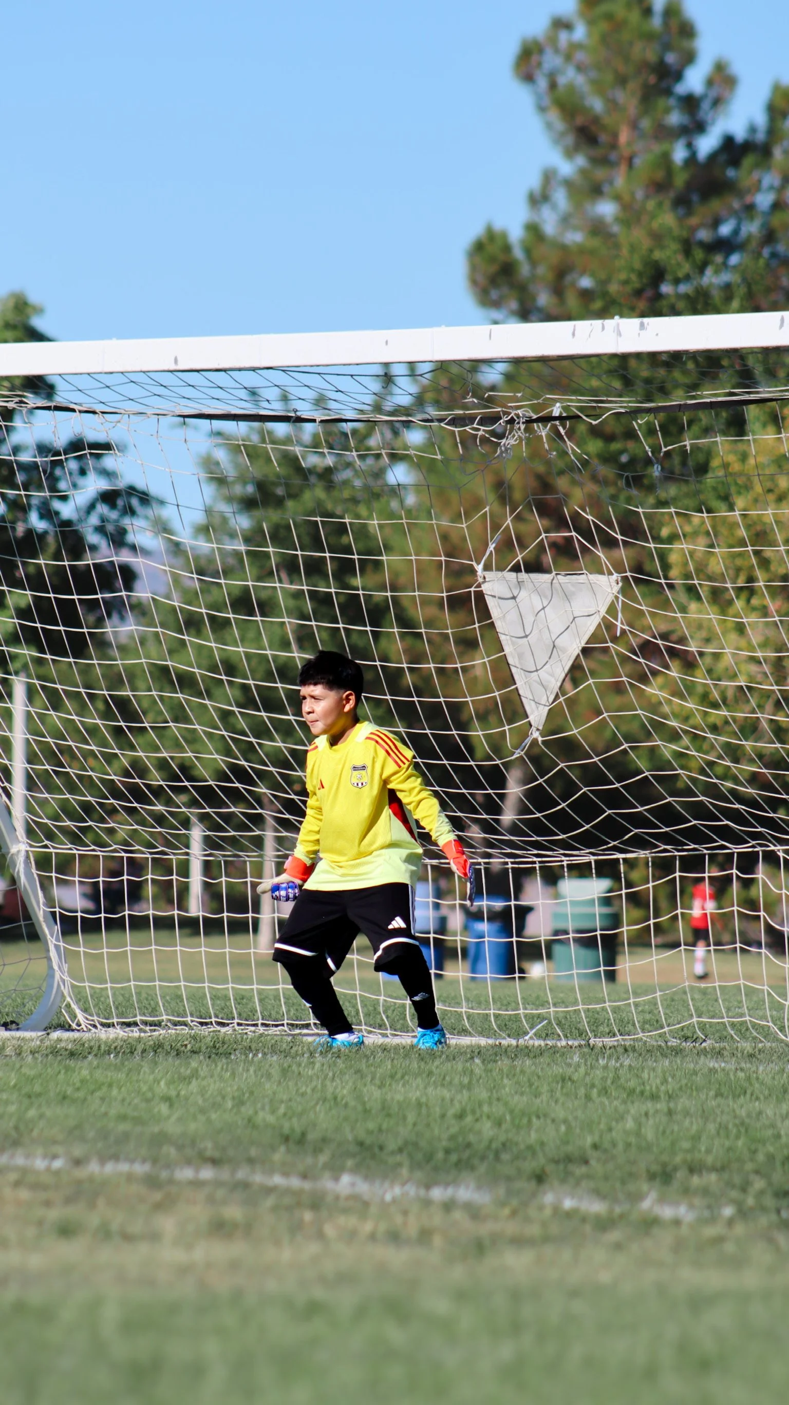 A young male soccer goalkeeper standing inside the goalpost, wearing a yellow jersey, black shorts, and gloves, with a serious expression. The goal net is slightly damaged and torn, and there are trees and a clear blue sky in the background.