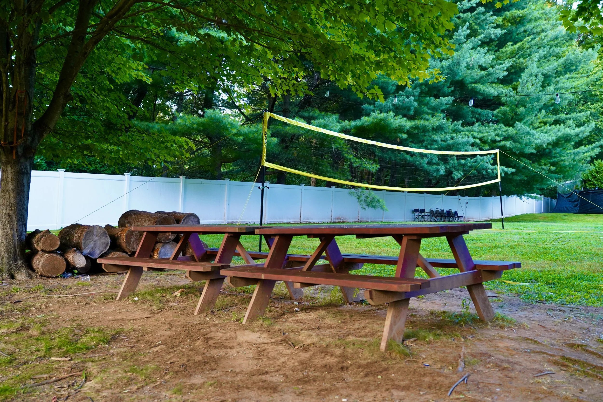 Outdoor scene with picnic tables, a volleyball net, trees, string lights, and logs on the ground.