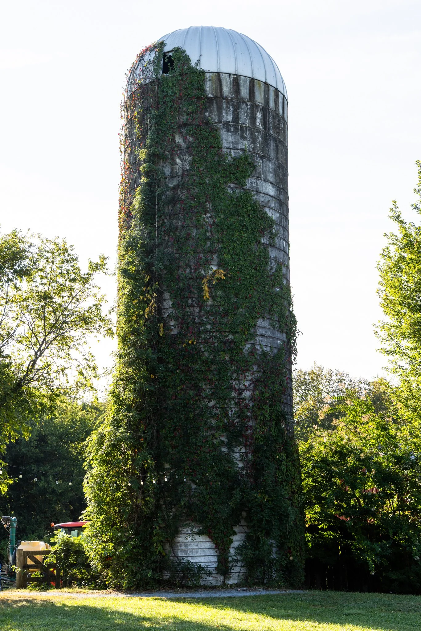 An old, weathered silo with metal panels, partially covered in green ivy, standing among trees and a grassy area