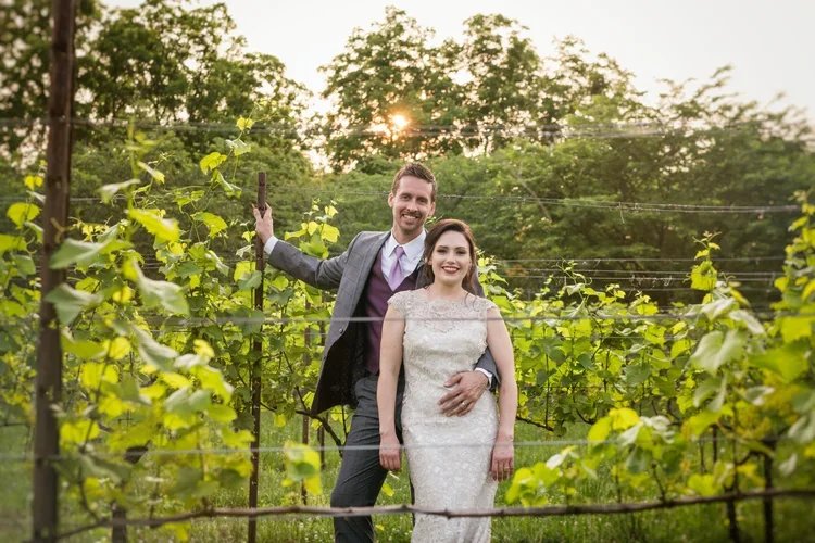 A couple in wedding attire standing in a vineyard with green vines and trees, at sunset.
