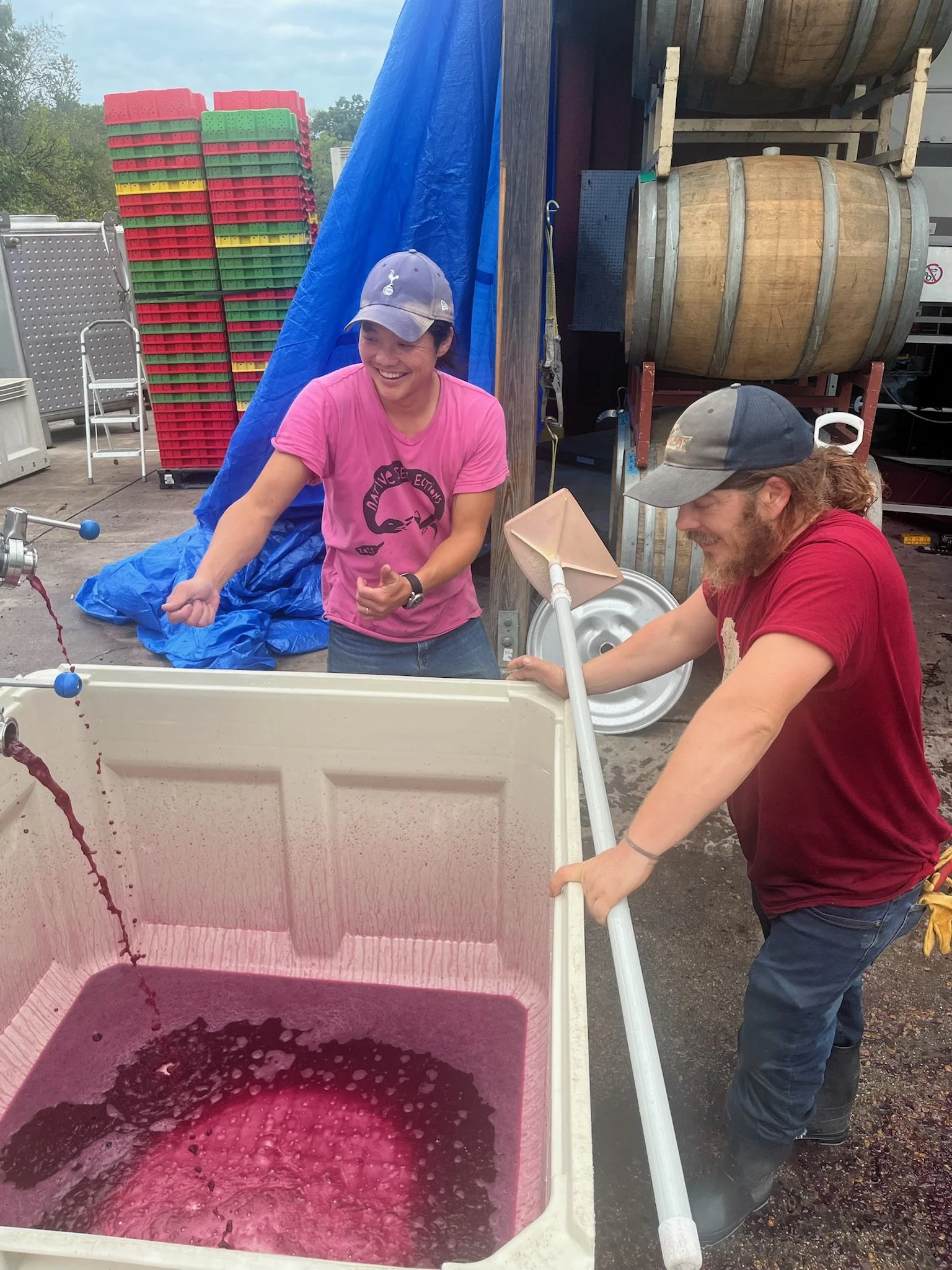 Two people are pouring purple grape juice from a large container, smiling and wearing casual clothes with hats. The scene appears to be at a winery or grape juice production facility.