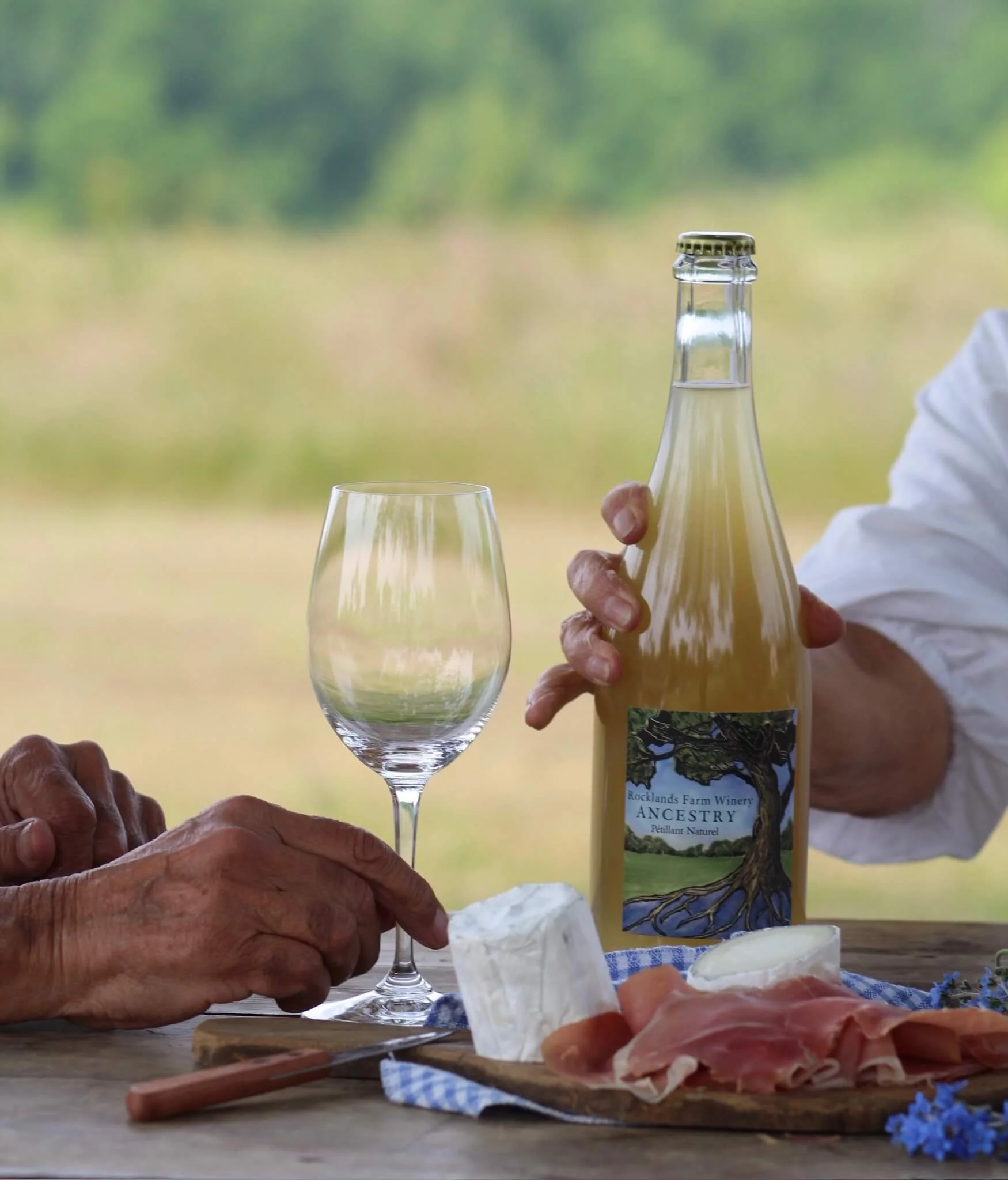 Close-up of hands reaching for a glass of Rocklands Farm Winery wine.